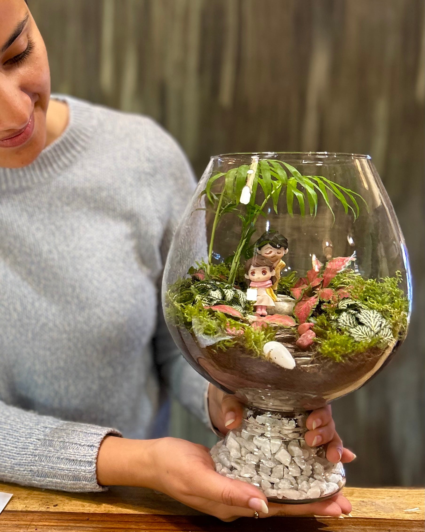 Terrariums