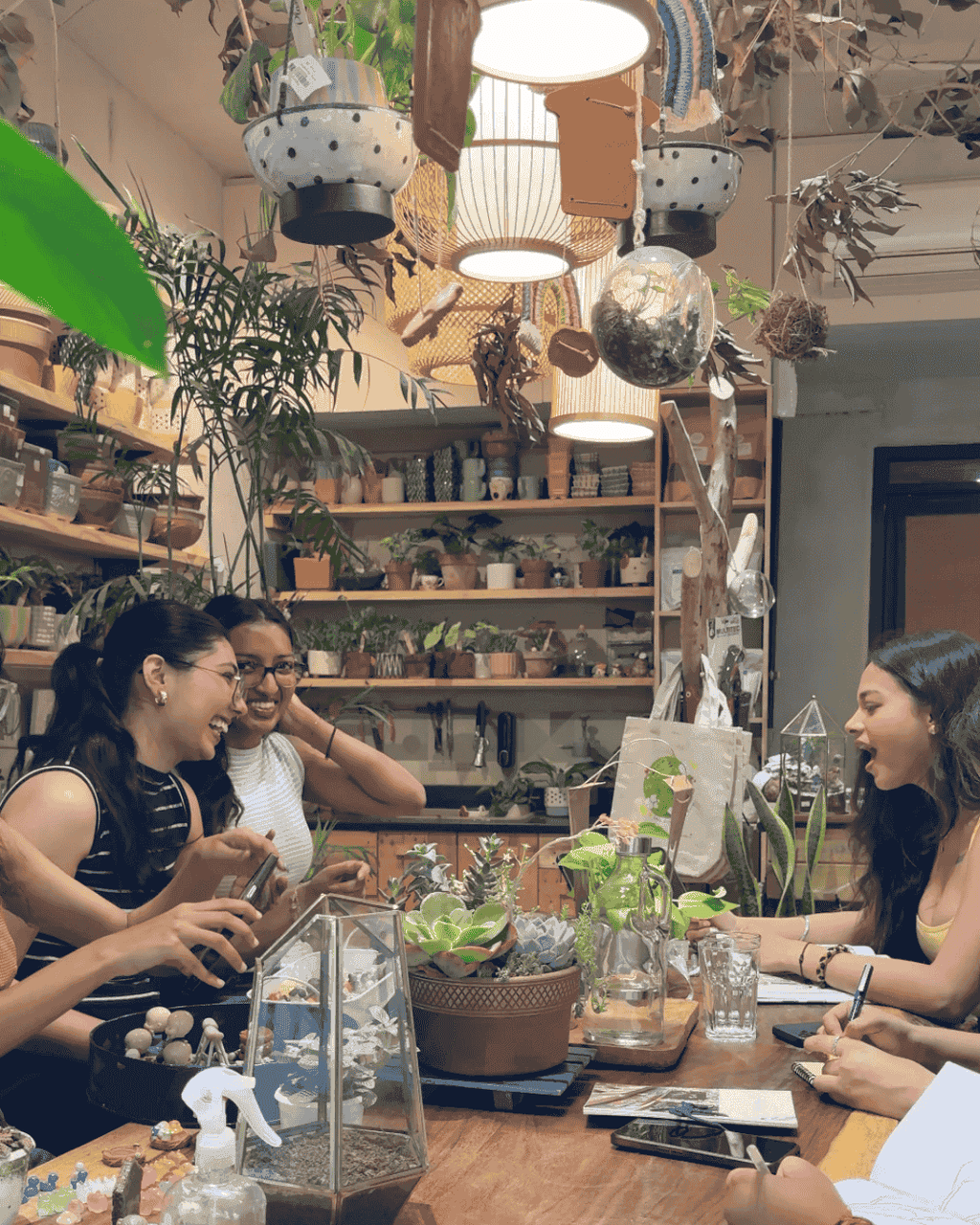 Private Group Terrarium (4+ people | weekdays only) Planterie Studio Pvt. Ltd.