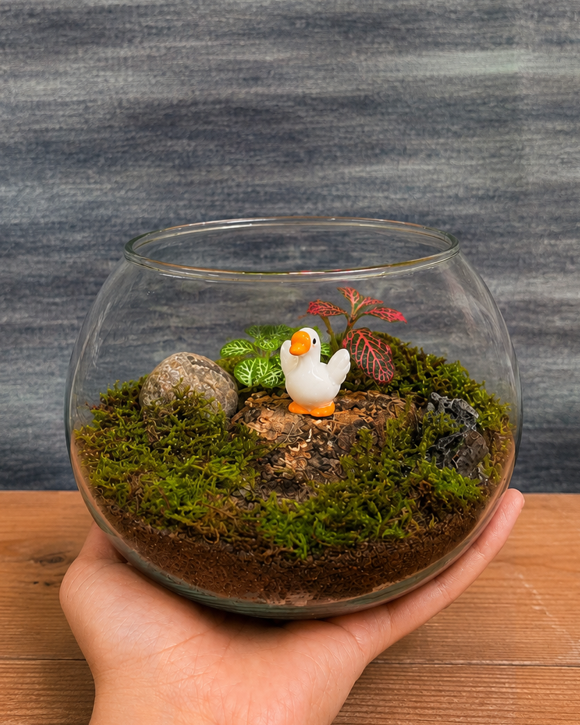 Baby Swan Terrarium
