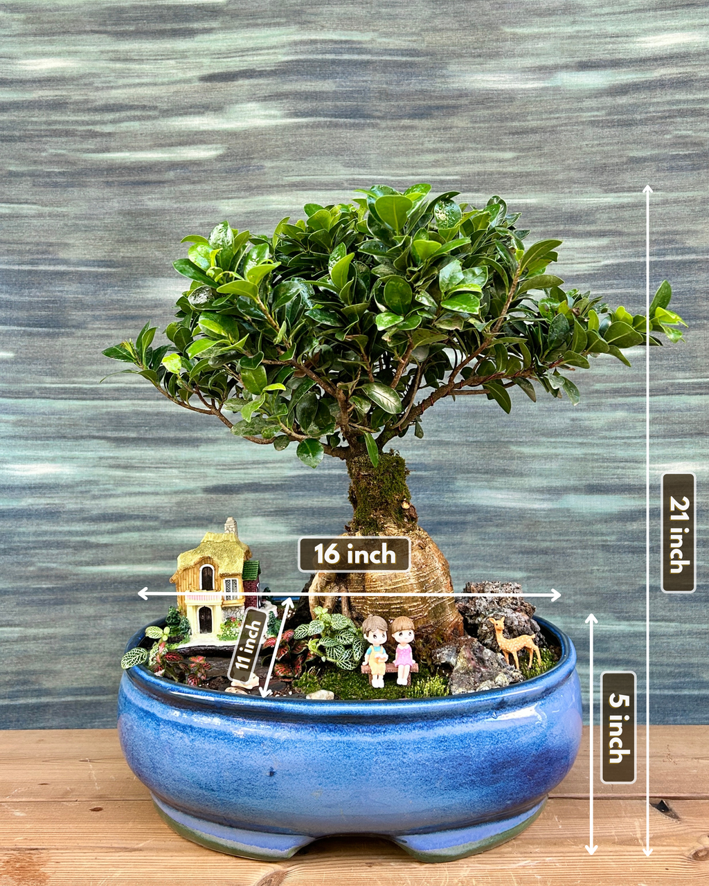 Storybook Cottage Bonsai