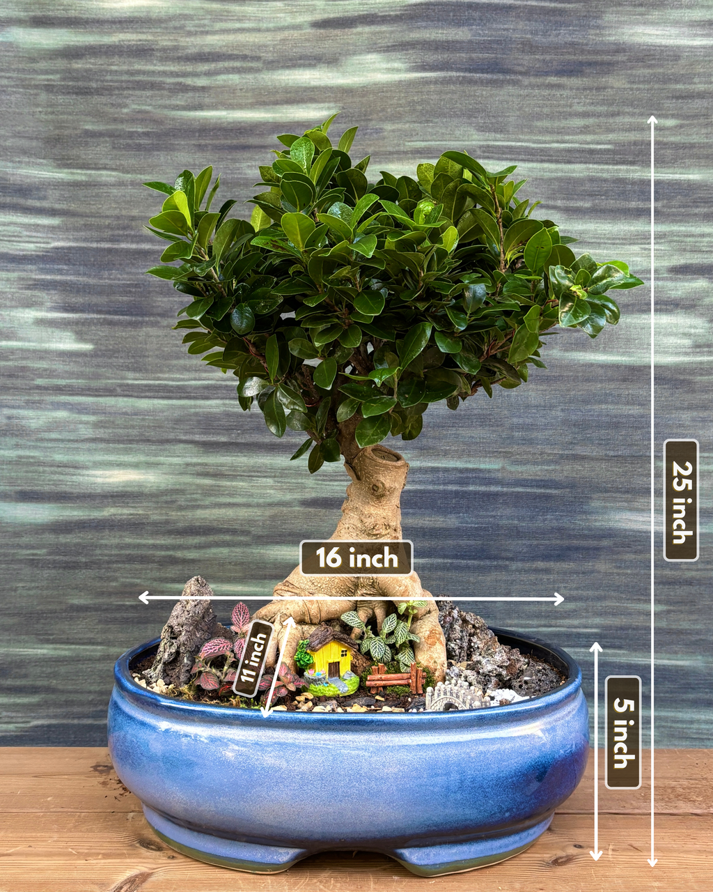 Riverside Bridge House Bonsai