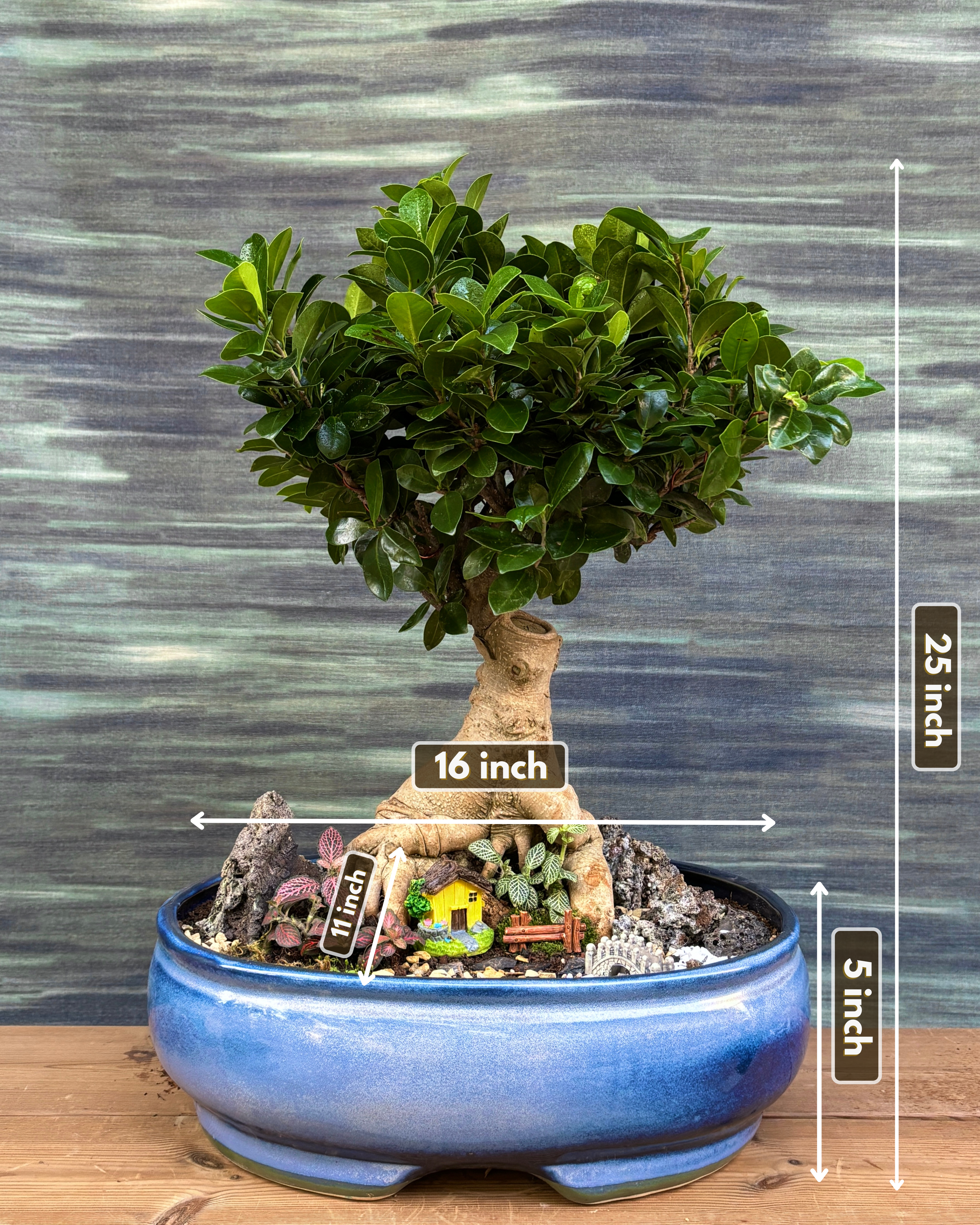 Riverside Bridge House Bonsai