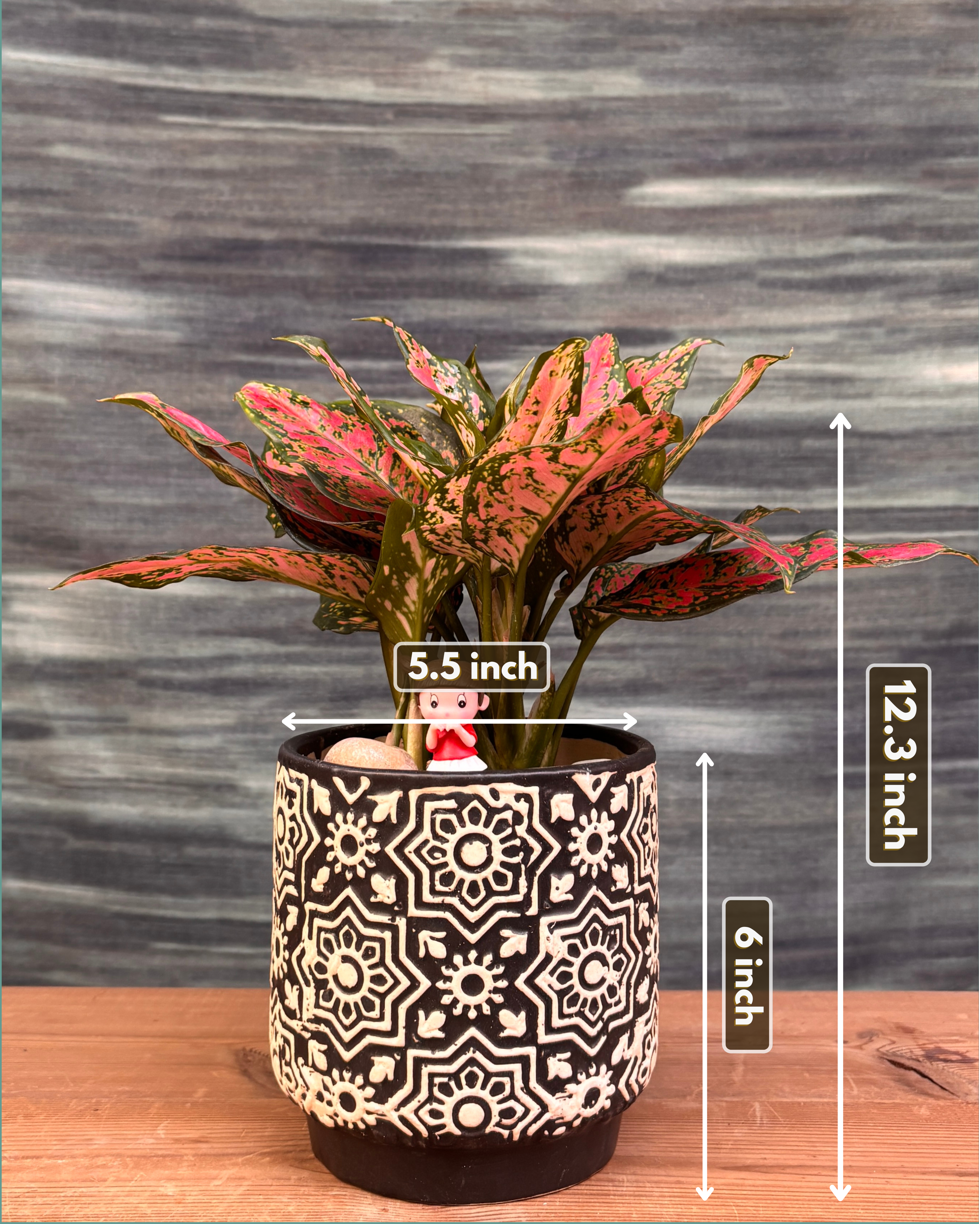 Aglaonema Angel in Black Blockprint