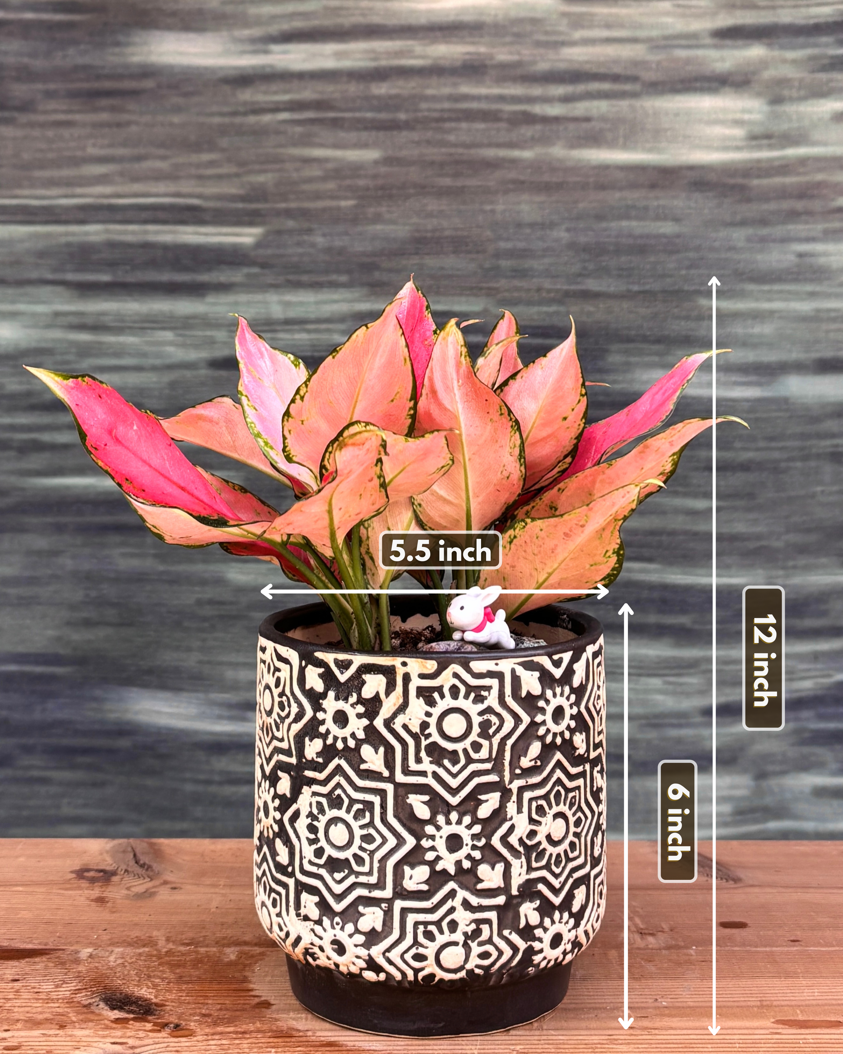 Aglaonema Red in Black Blockprint