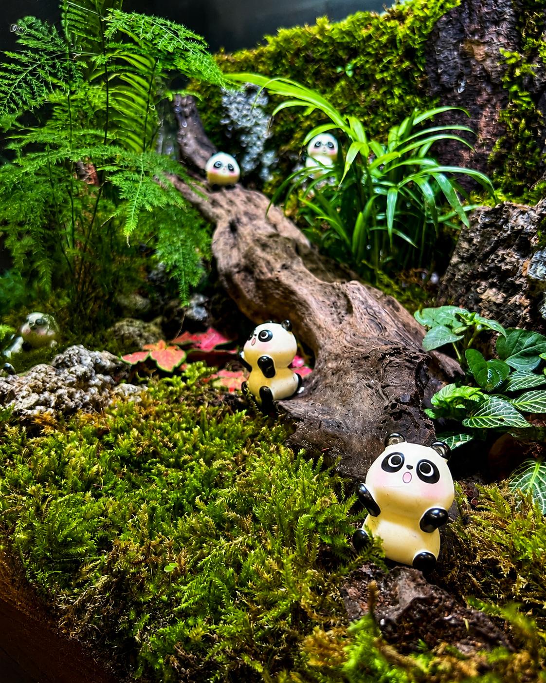 Panda Sanctuary