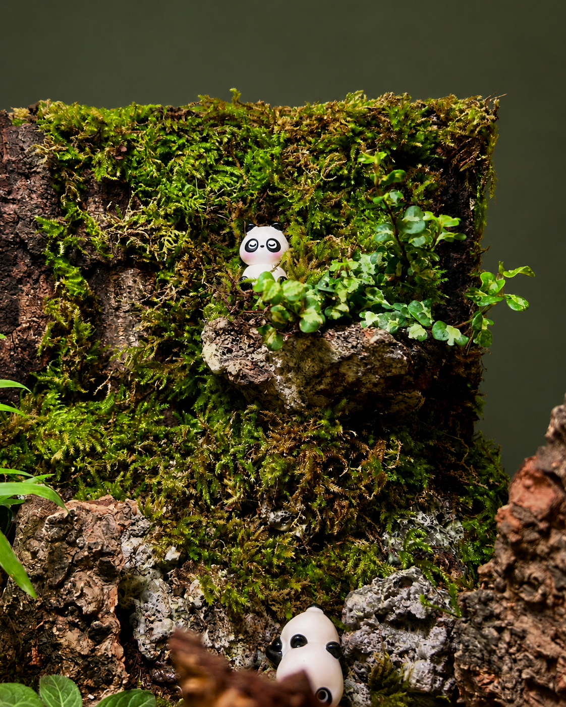 Panda Sanctuary