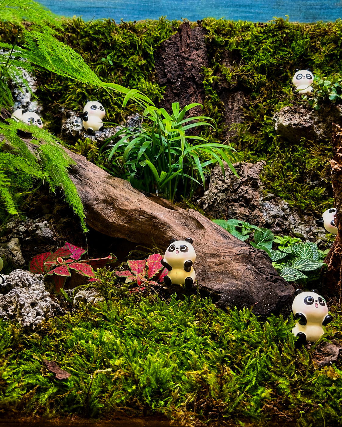 Panda Sanctuary