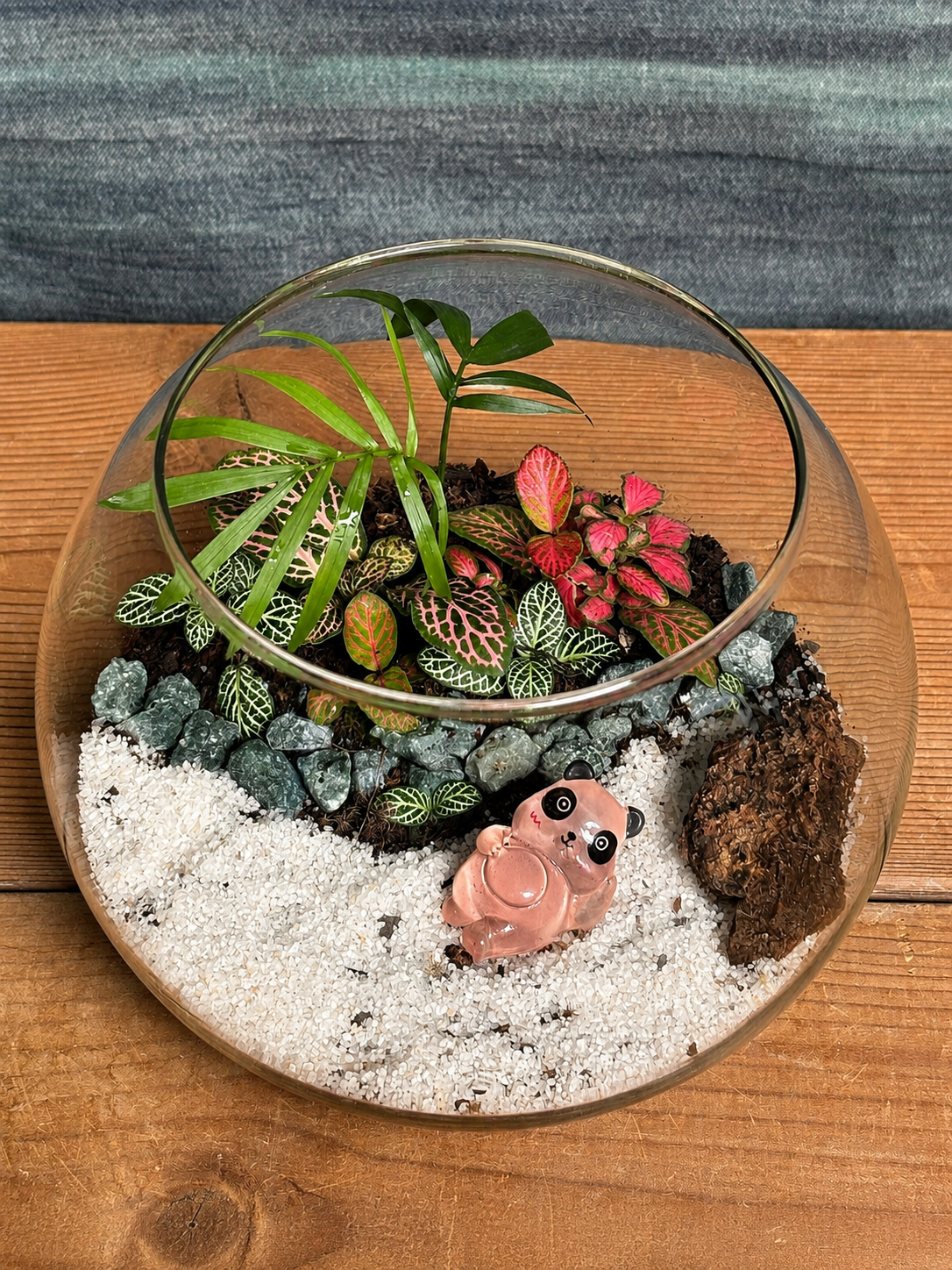 Pink Panda Terrarium