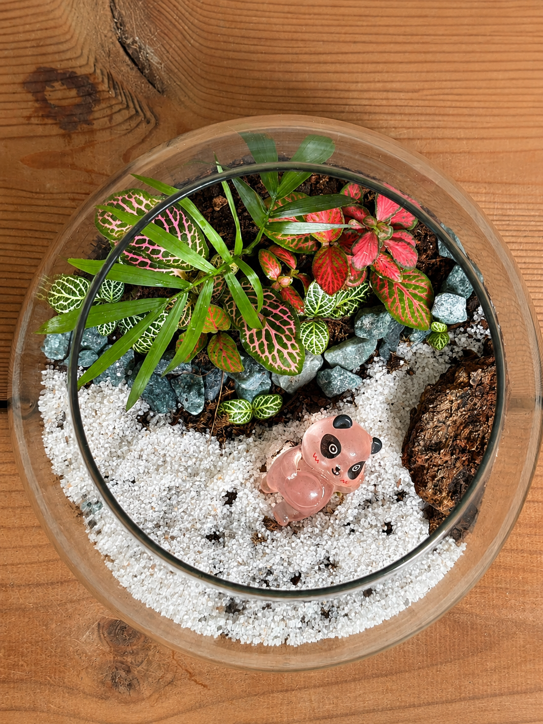 Pink Panda Terrarium