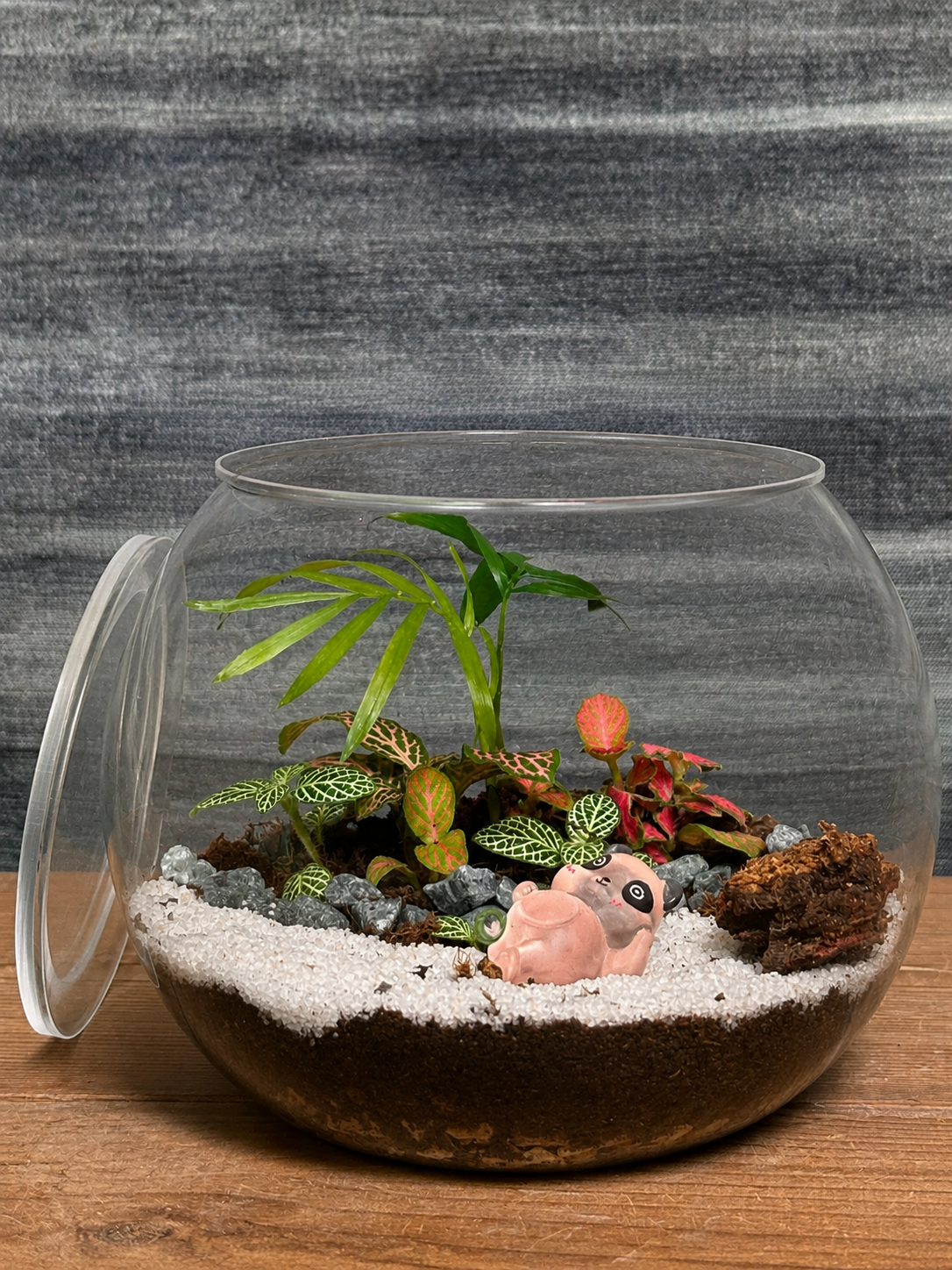 Pink Panda Terrarium