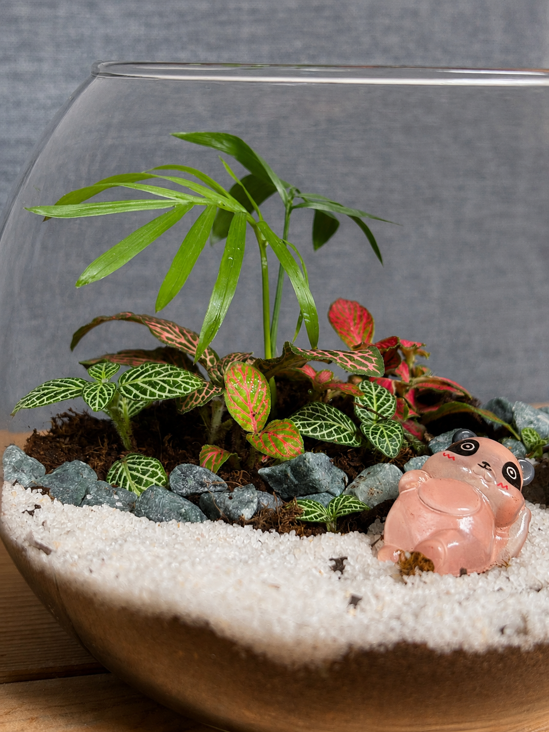 Pink Panda Terrarium