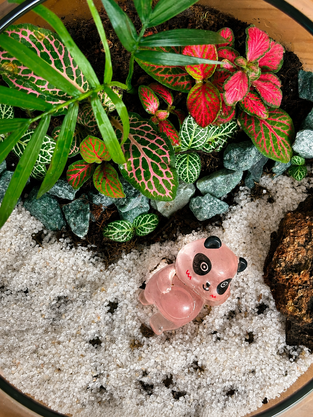 Pink Panda Terrarium
