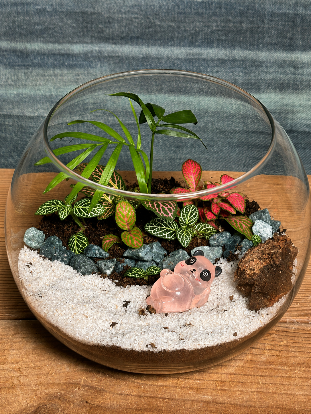 Pink Panda Terrarium