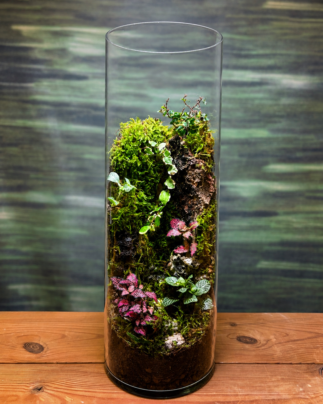 Green Canyon Terrarium