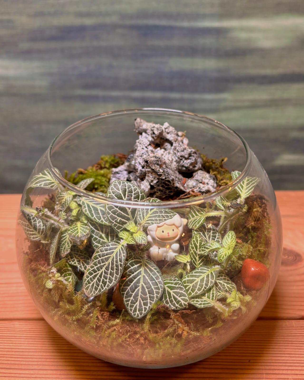 Little Shepherd Garden