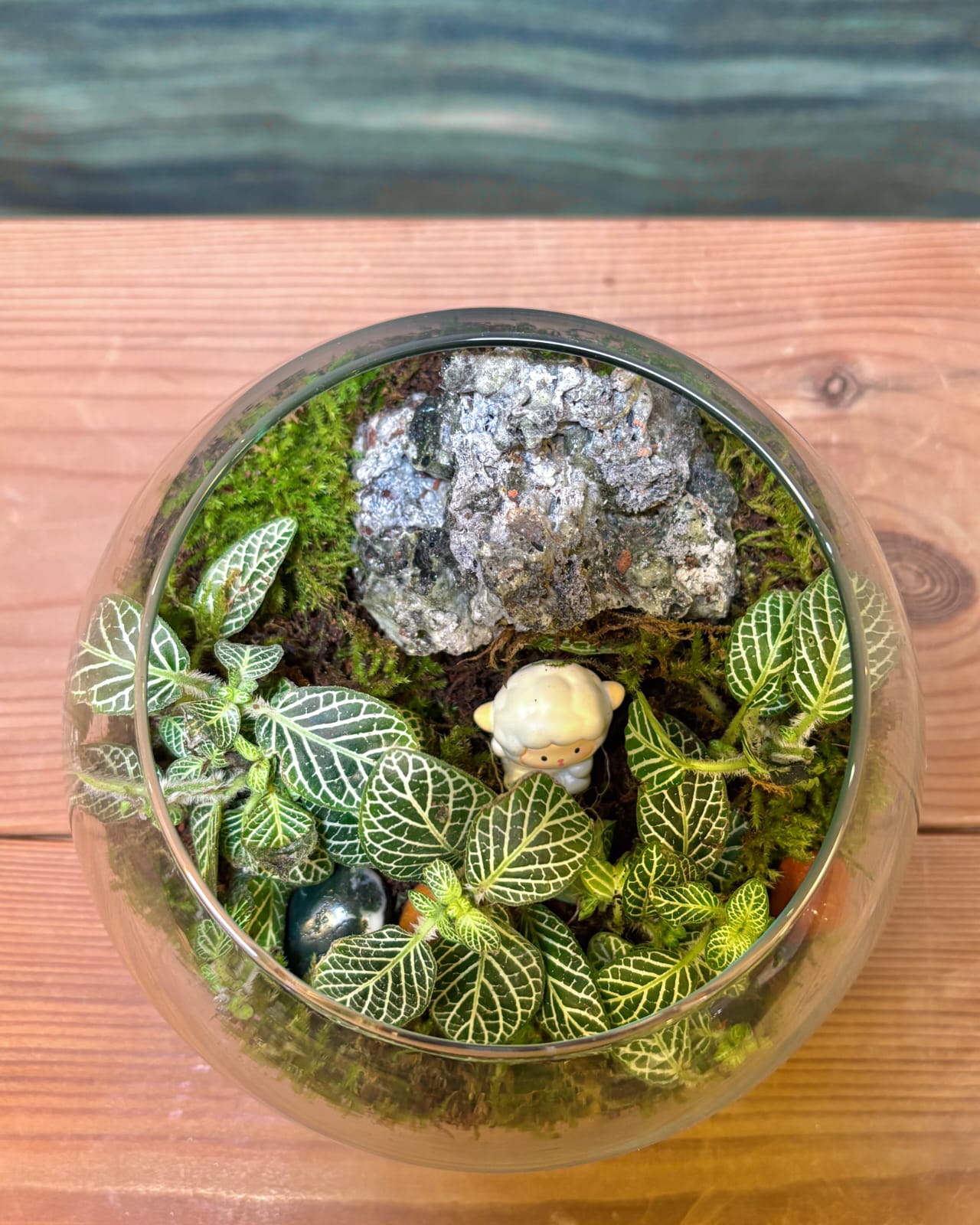 Little Shepherd Garden