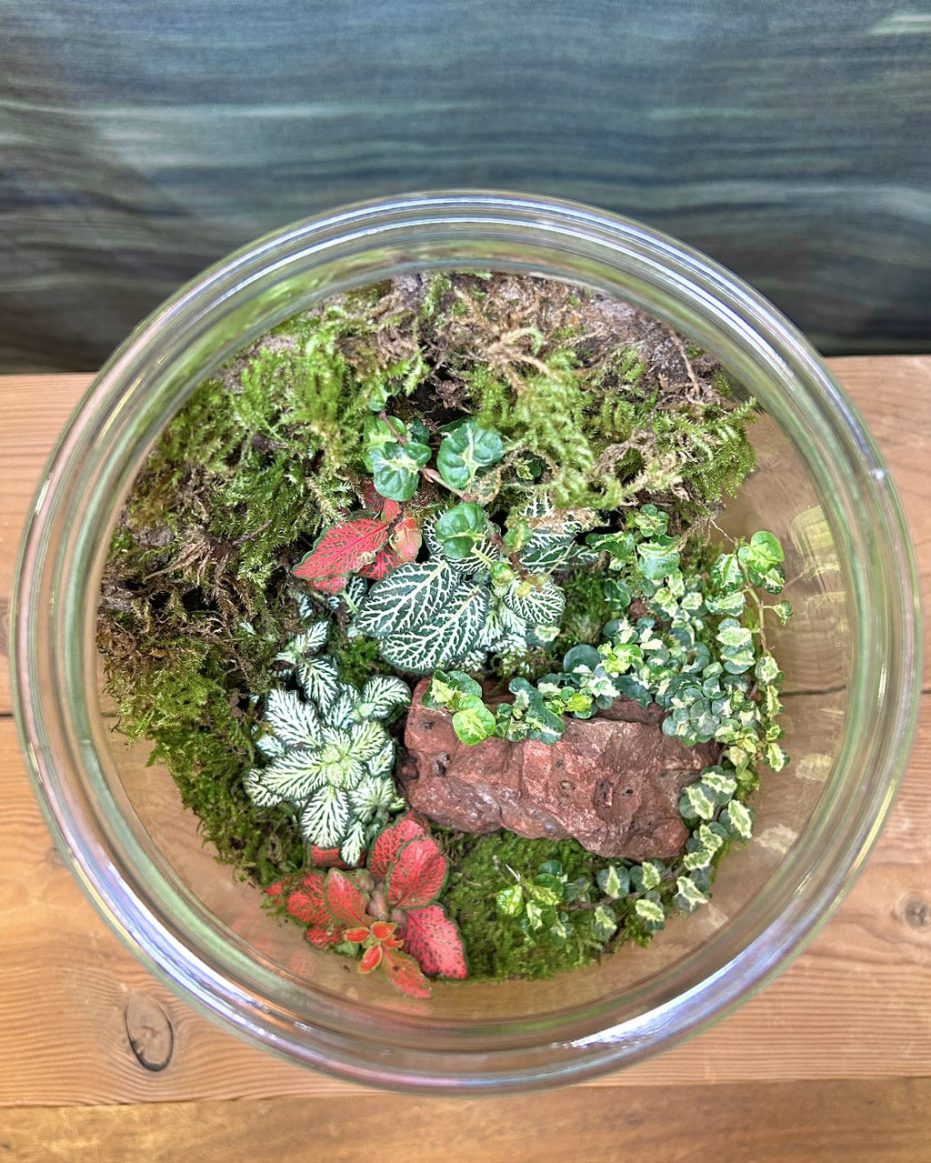 Hidden Forest