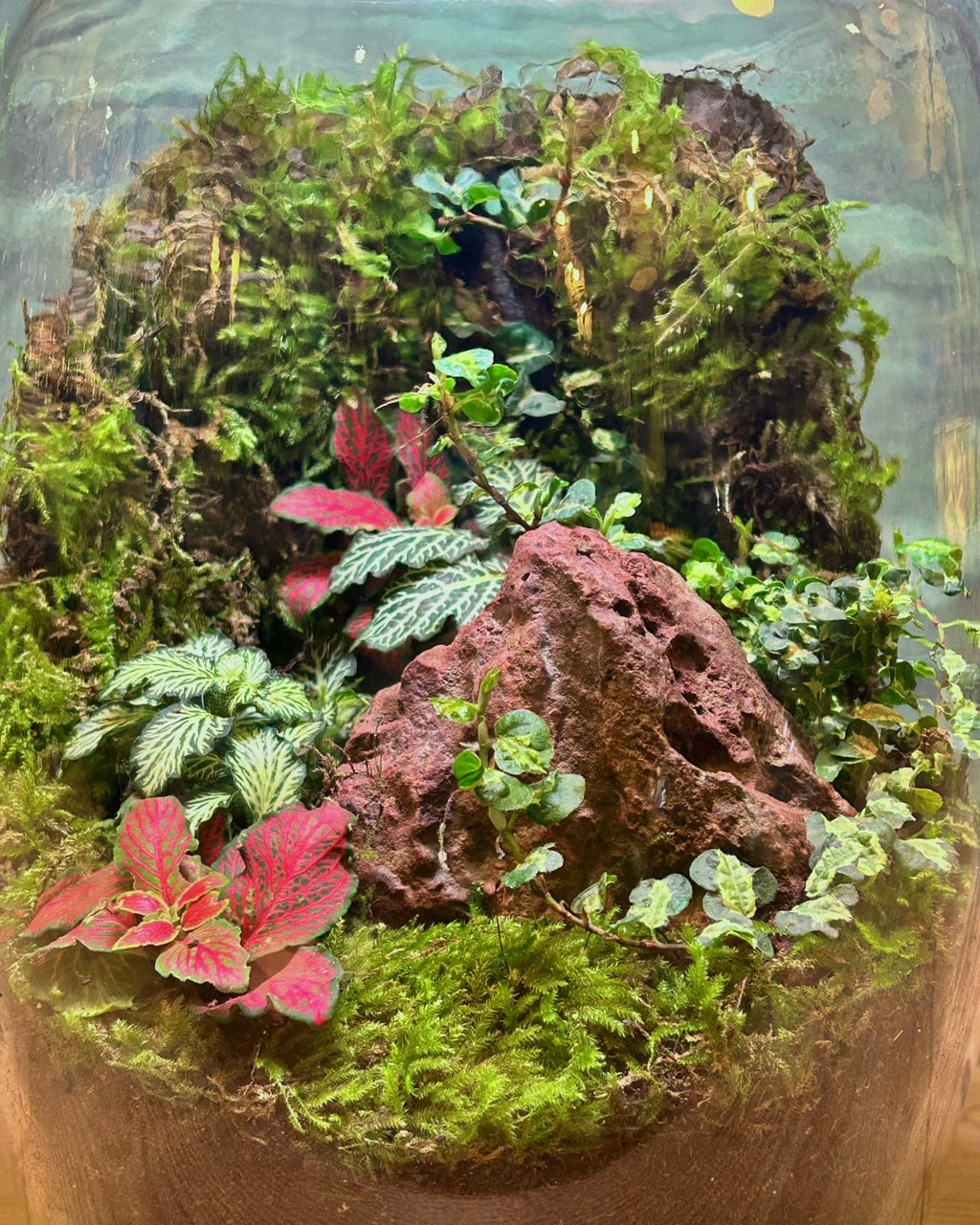 Hidden Forest