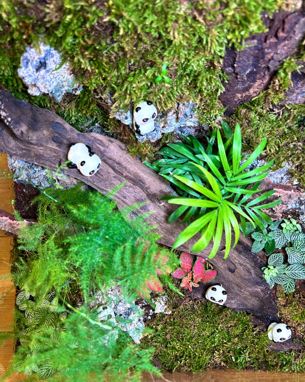 Panda Sanctuary