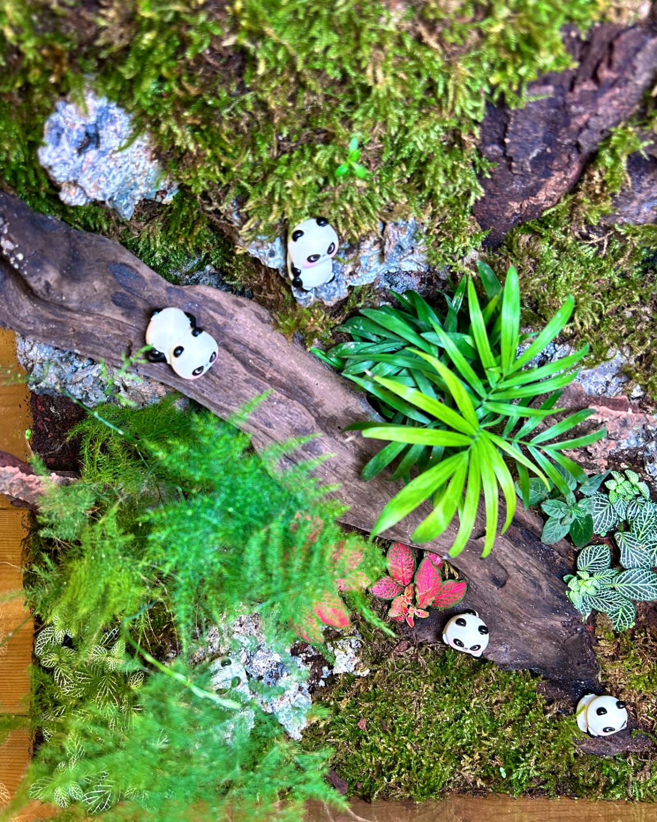 Panda Sanctuary