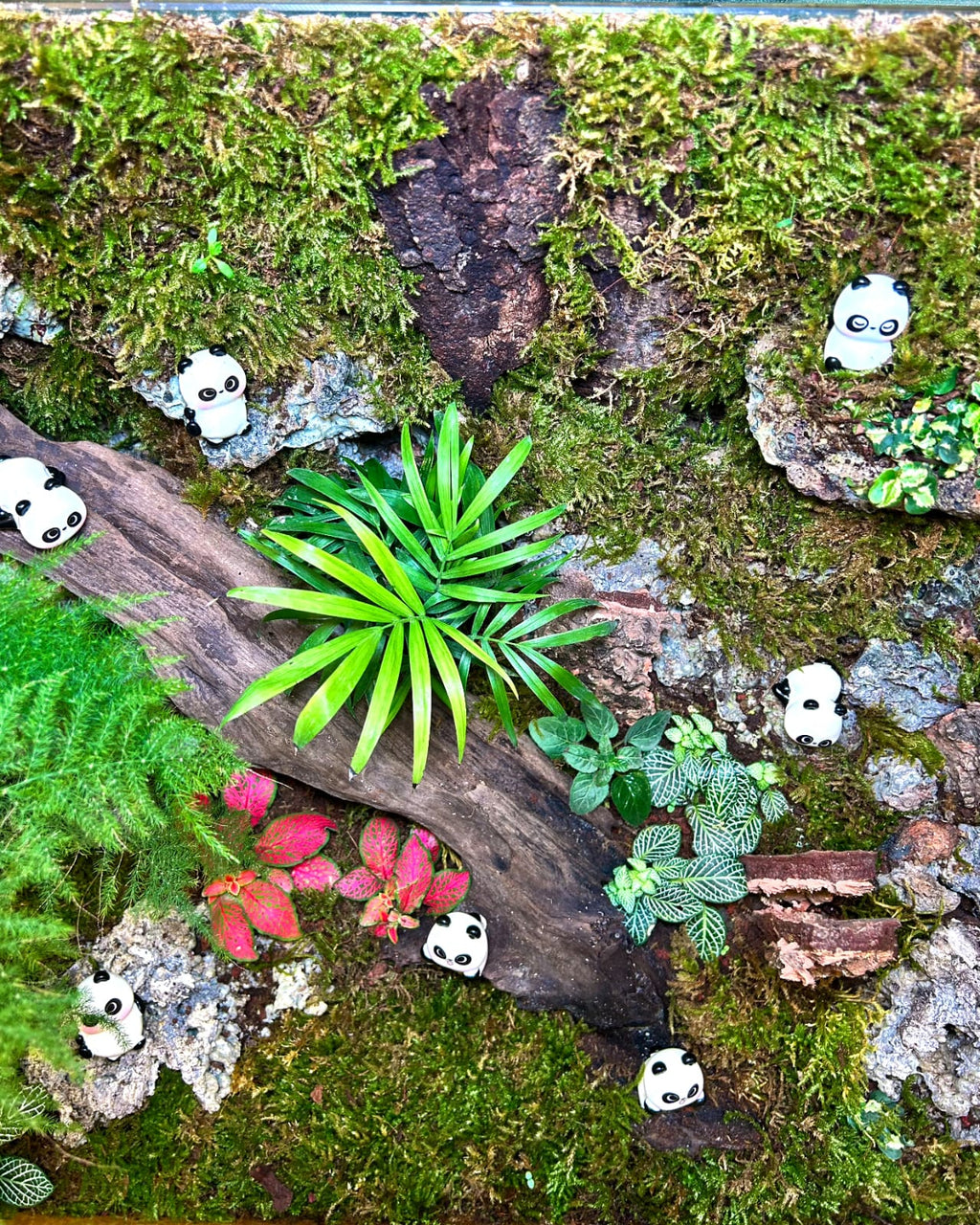 Panda Sanctuary