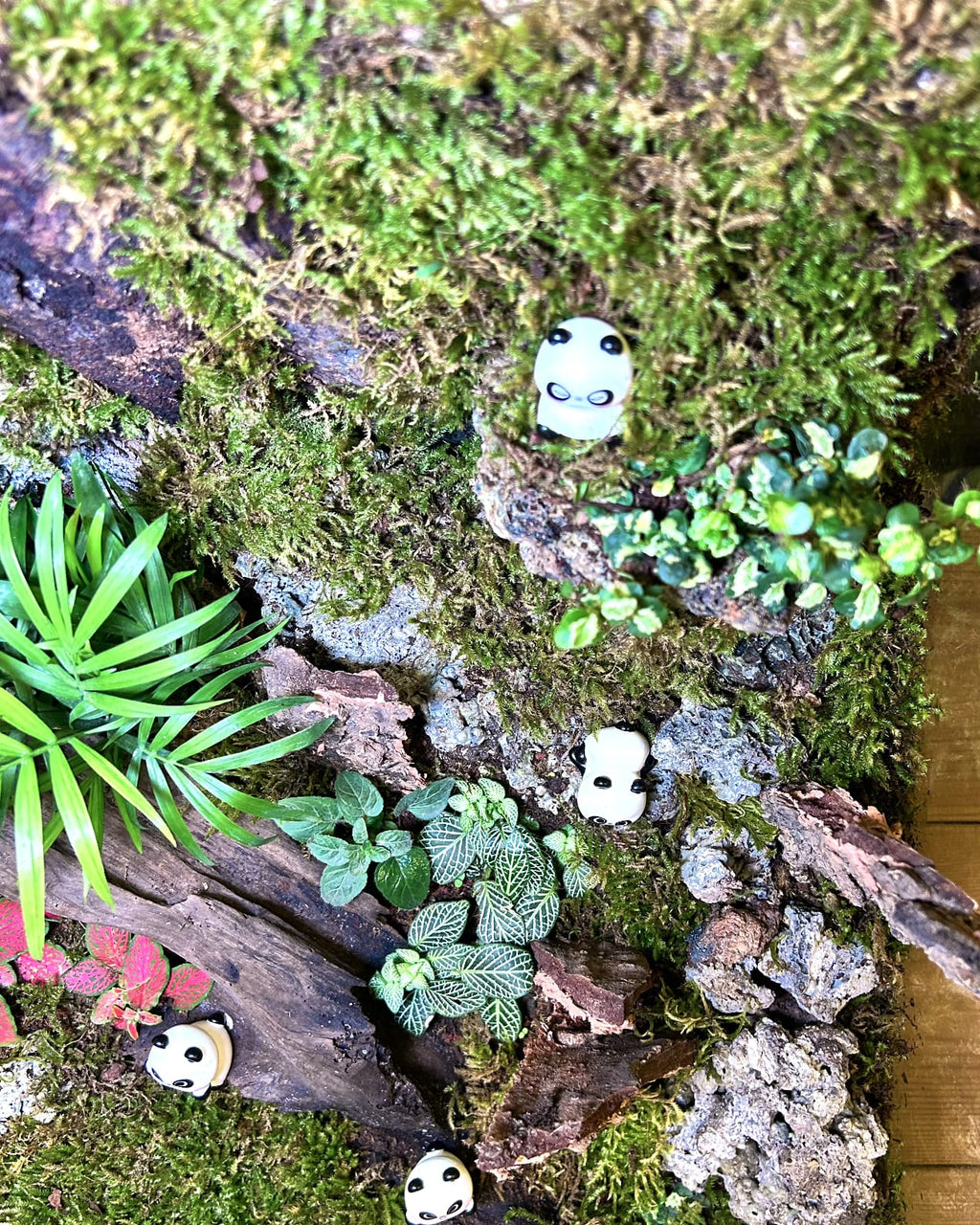 Panda Sanctuary