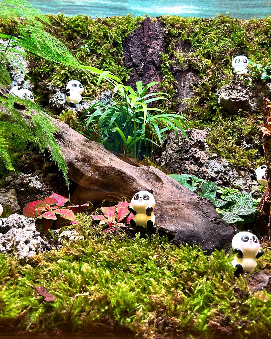 Panda Sanctuary