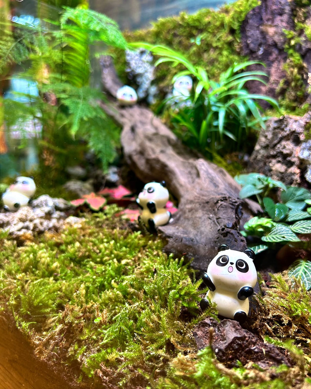 Panda Sanctuary