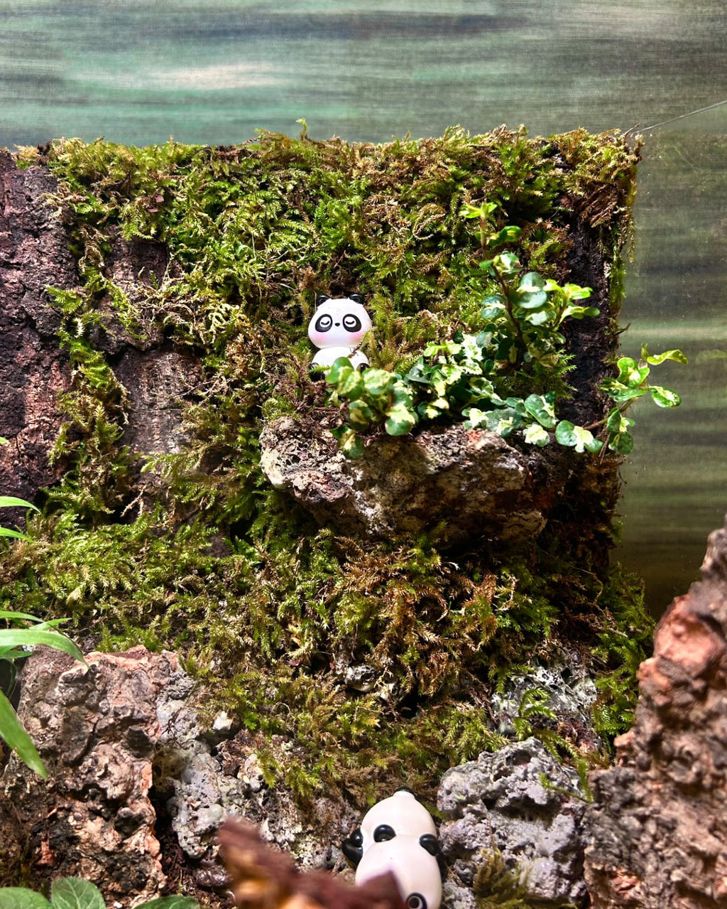 Panda Sanctuary
