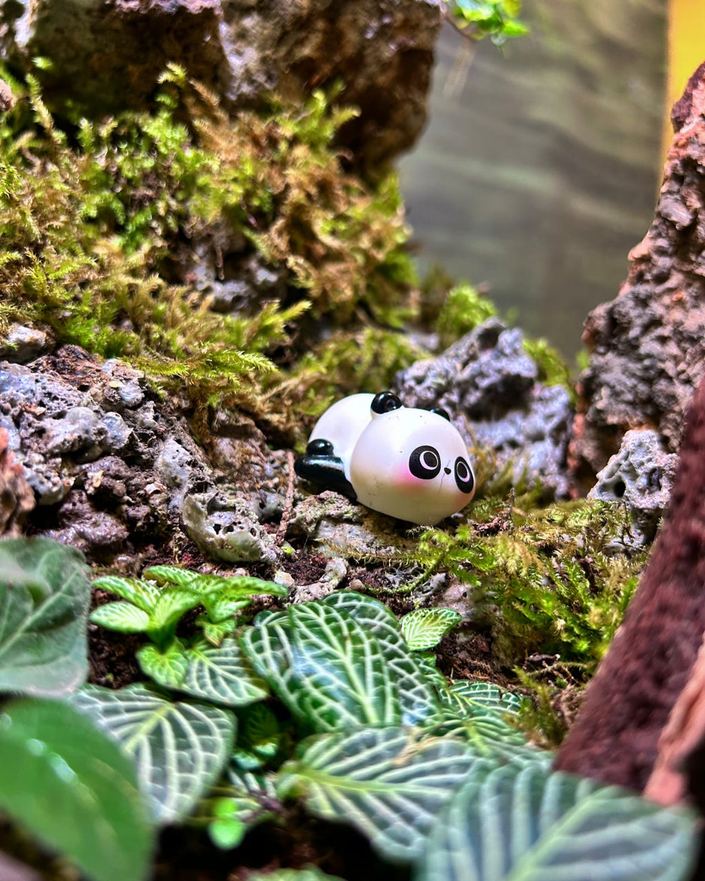 Panda Sanctuary