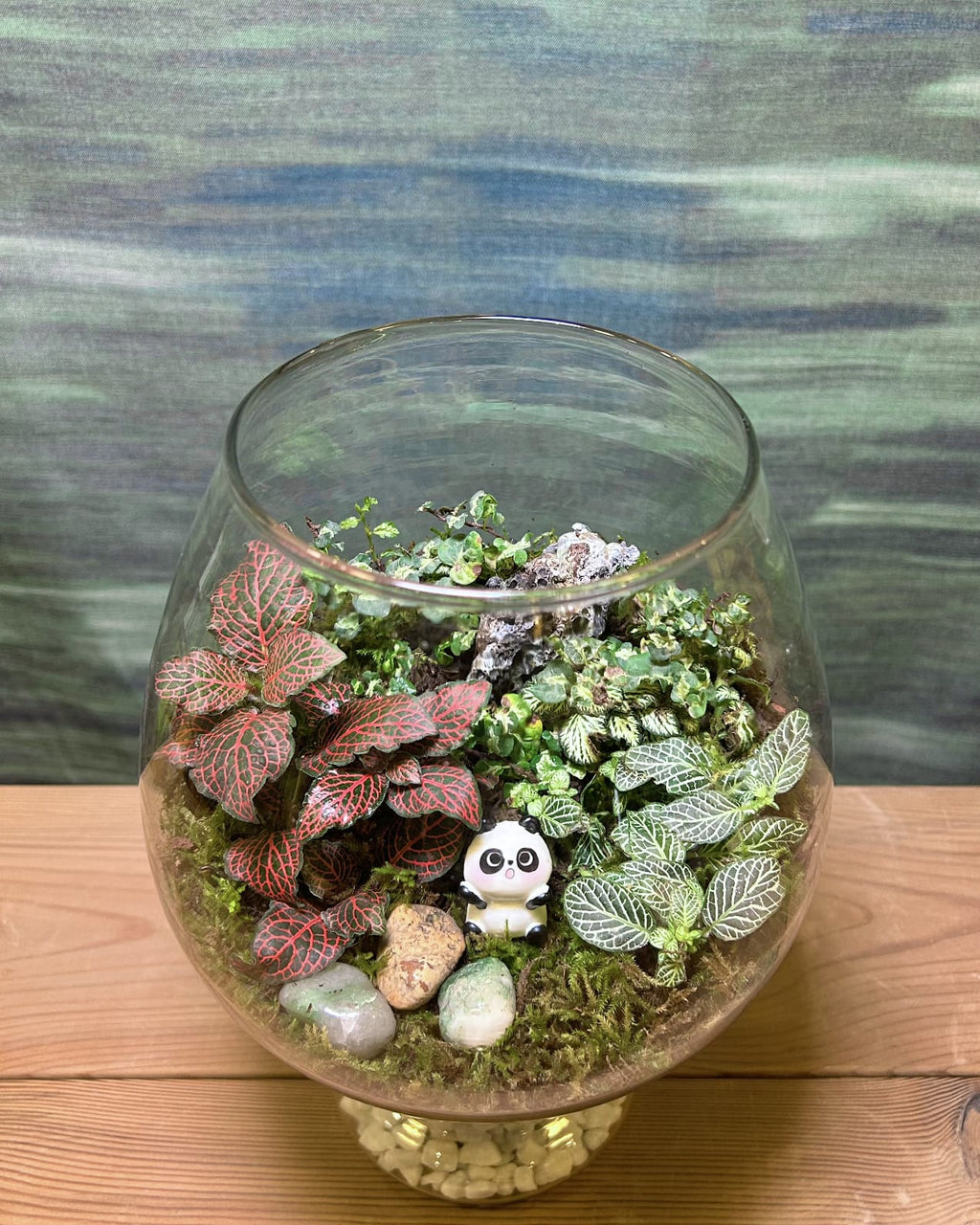 Panda Moss