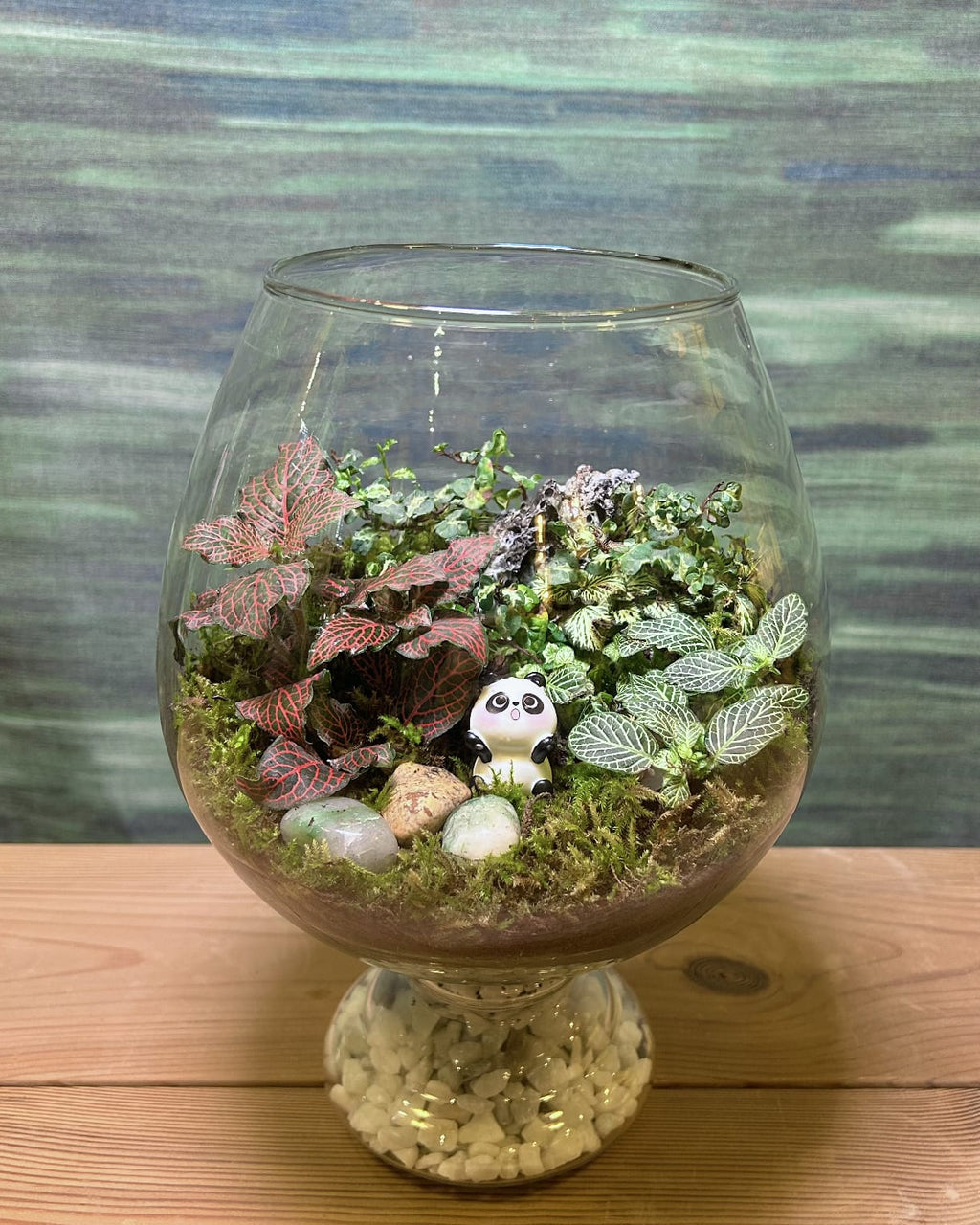 Panda Moss