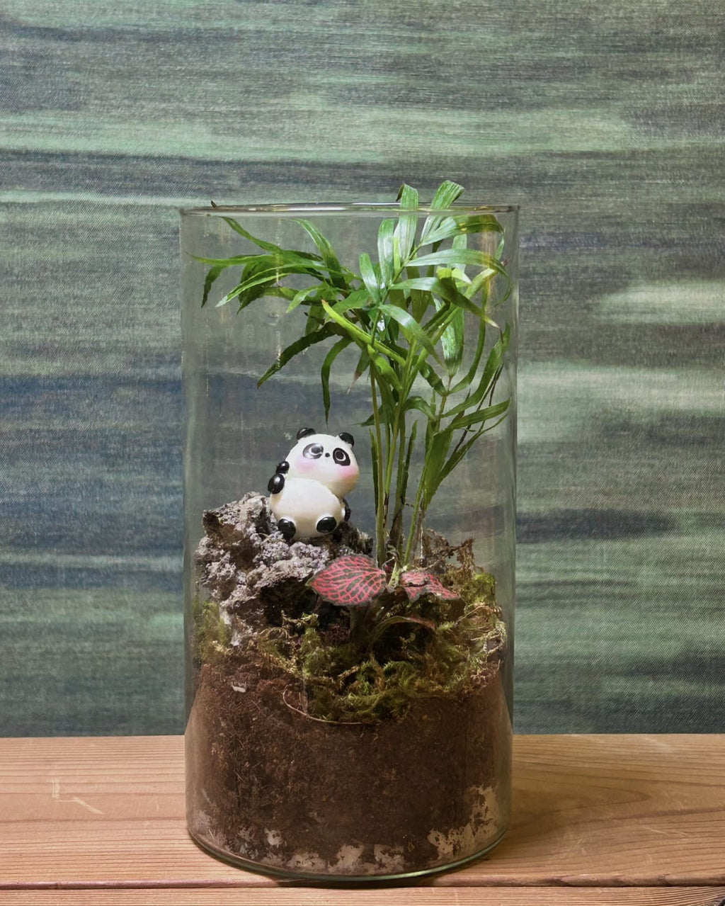 Panda Palm
