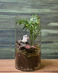 Panda Palm