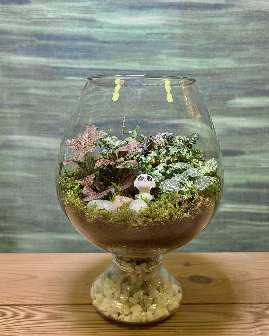 Panda Moss