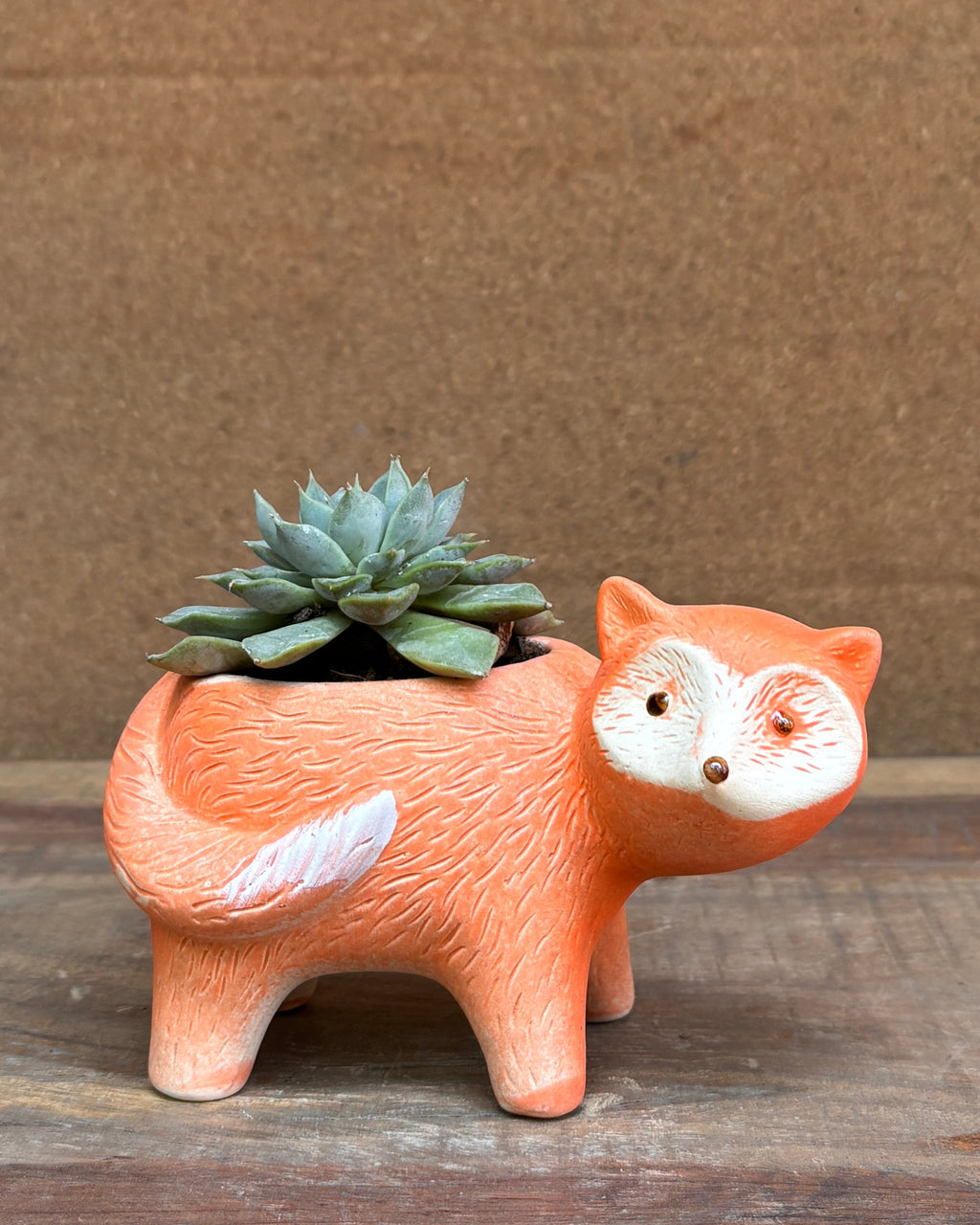Succulents in Fox Pot