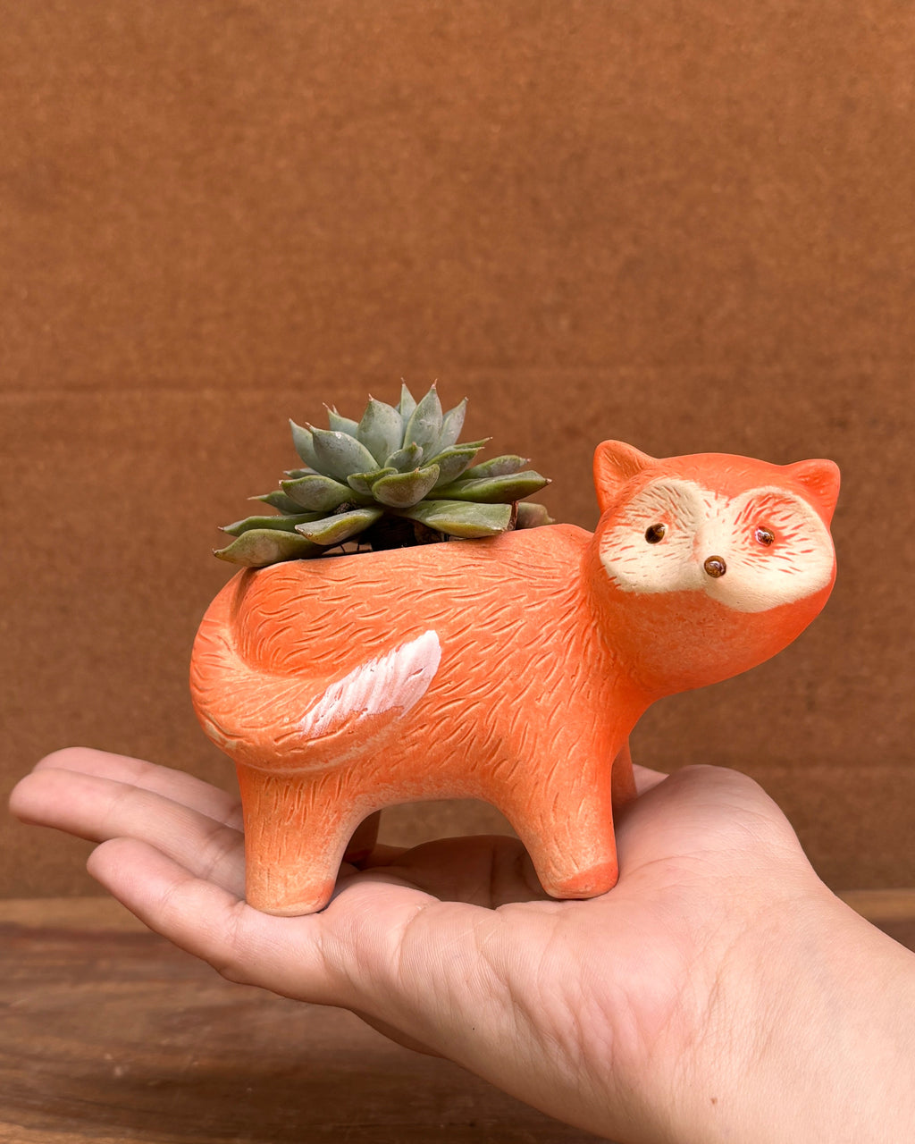 Succulents in Fox Pot