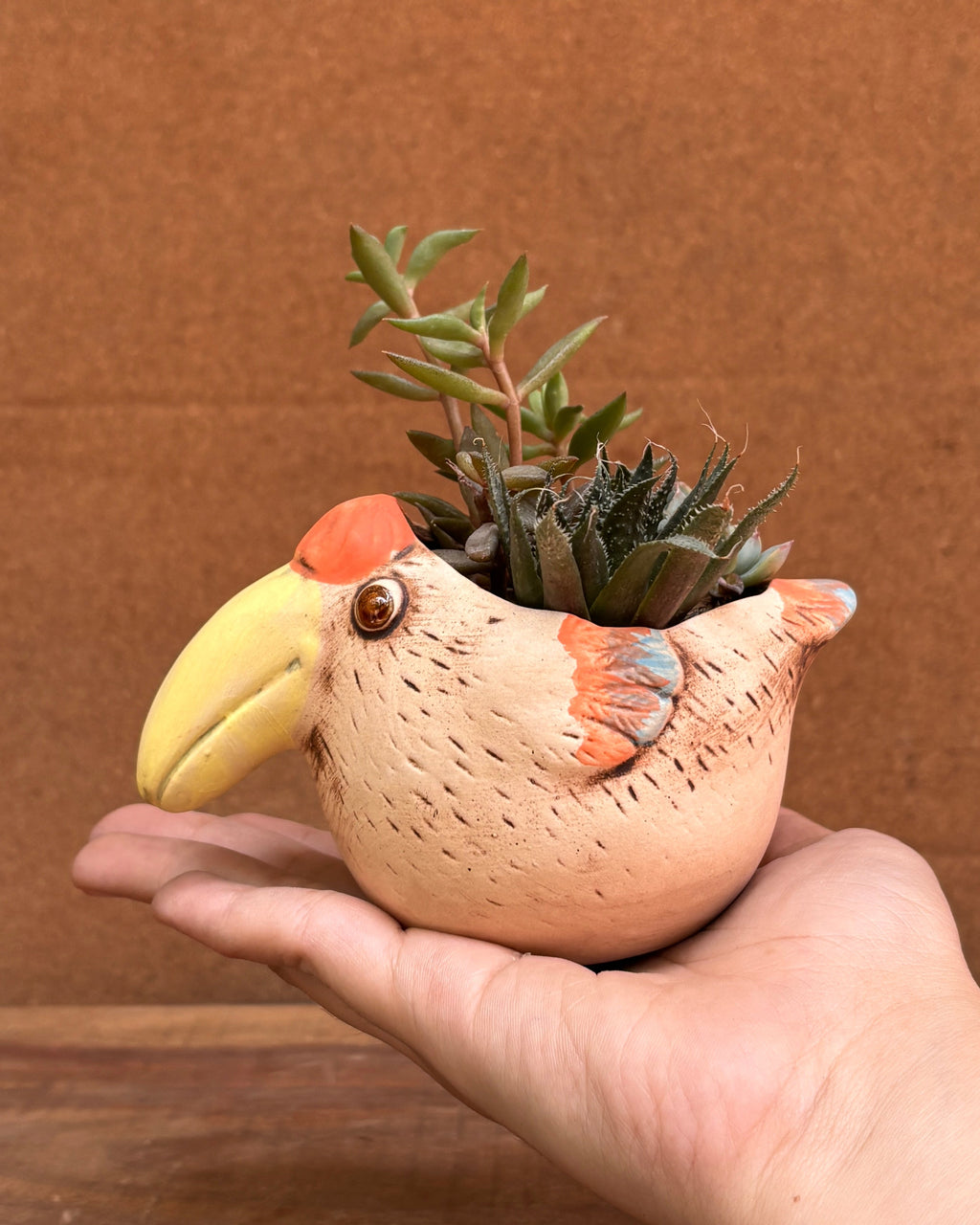 Succulents in a Toucan