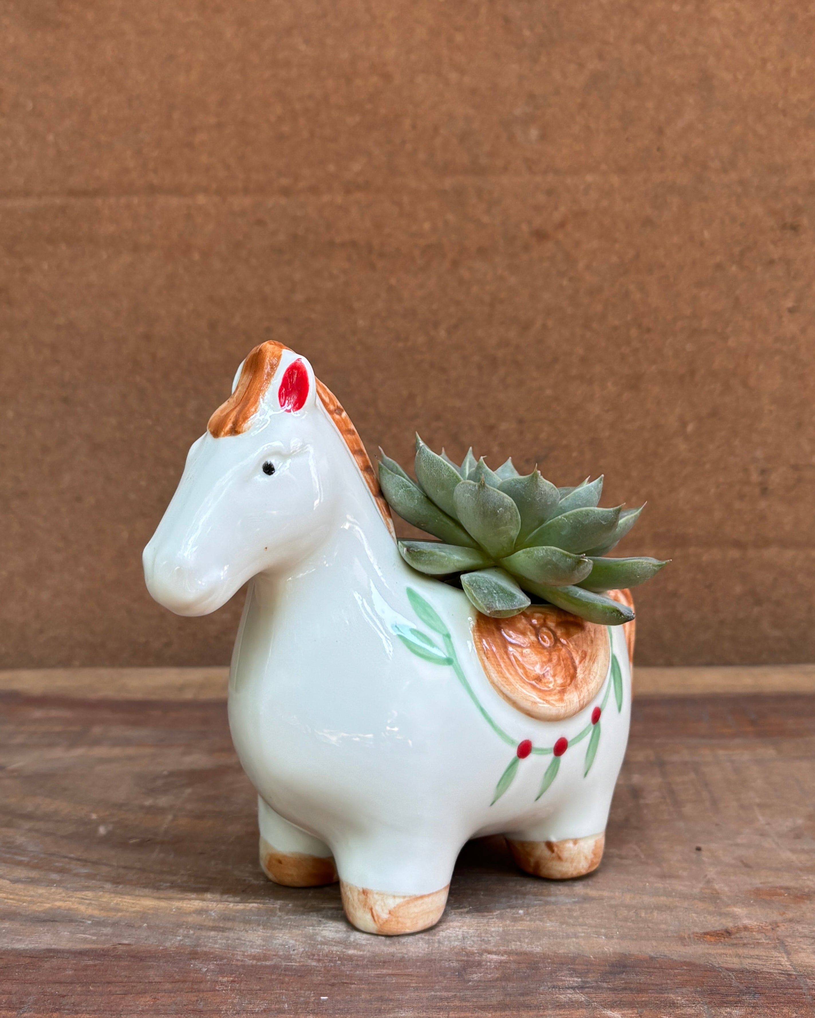 Succulents in a White Horse