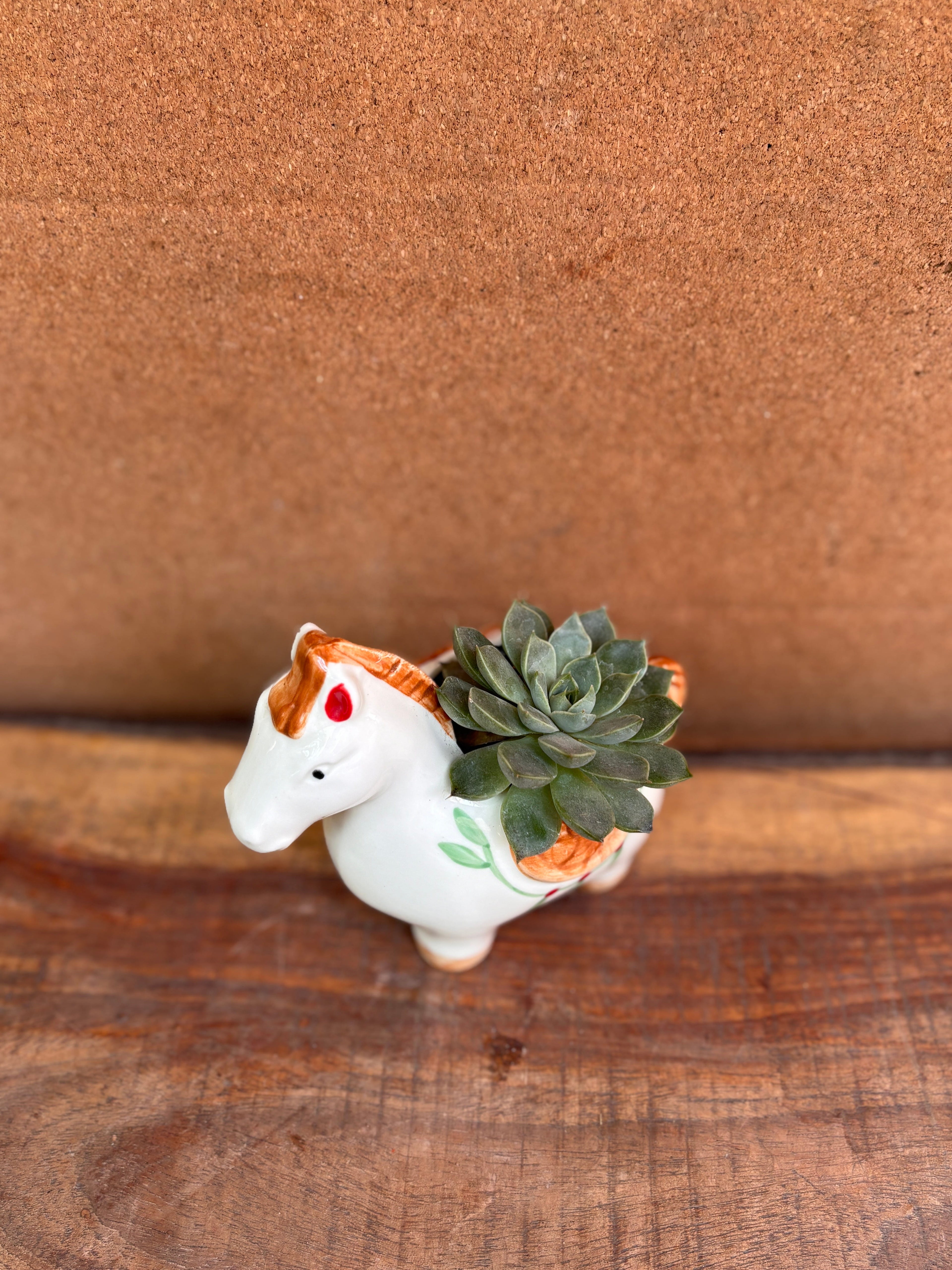 Succulents in a White Horse
