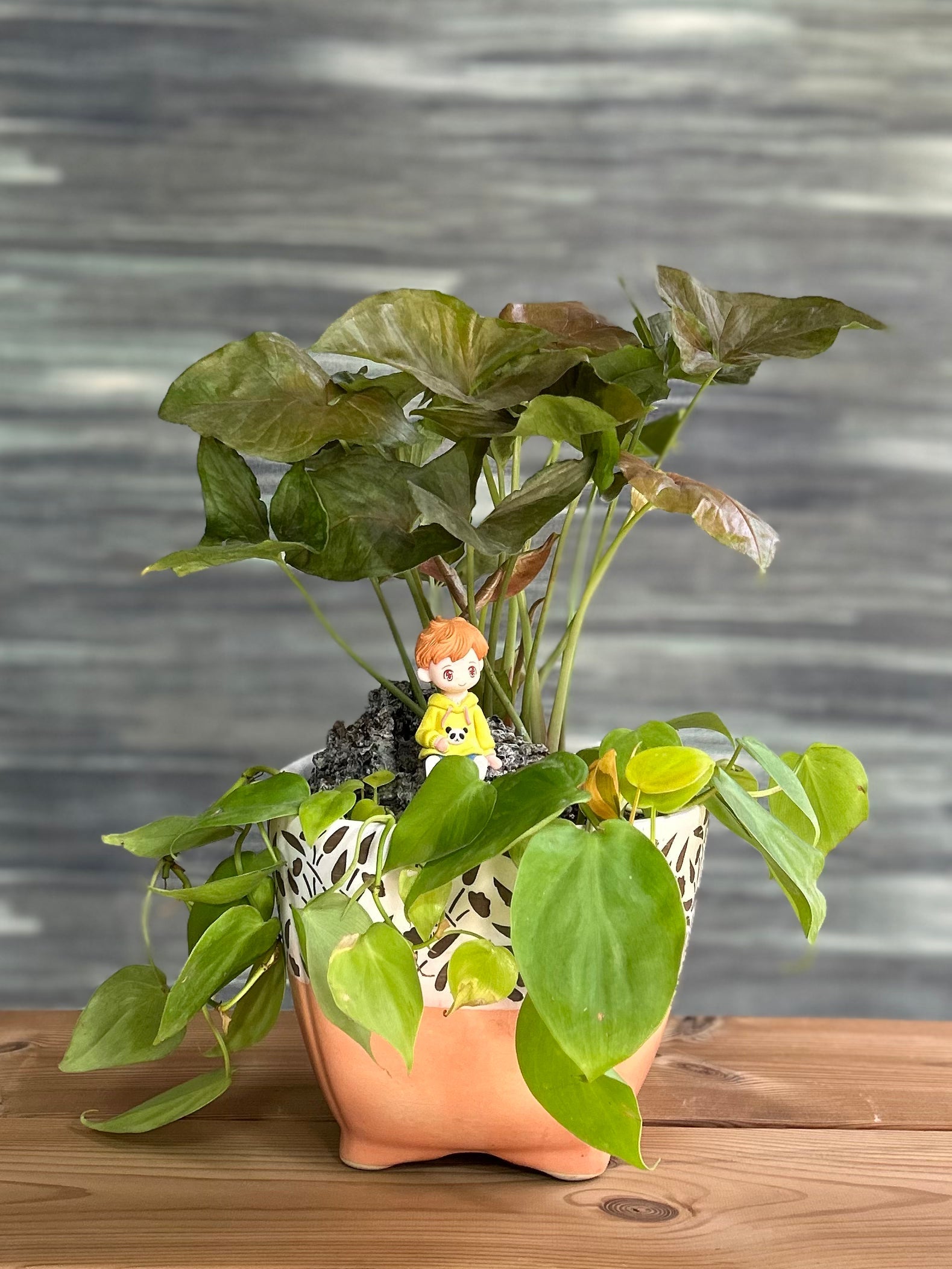 Green Watcher Planterie Studio Pvt. Ltd.