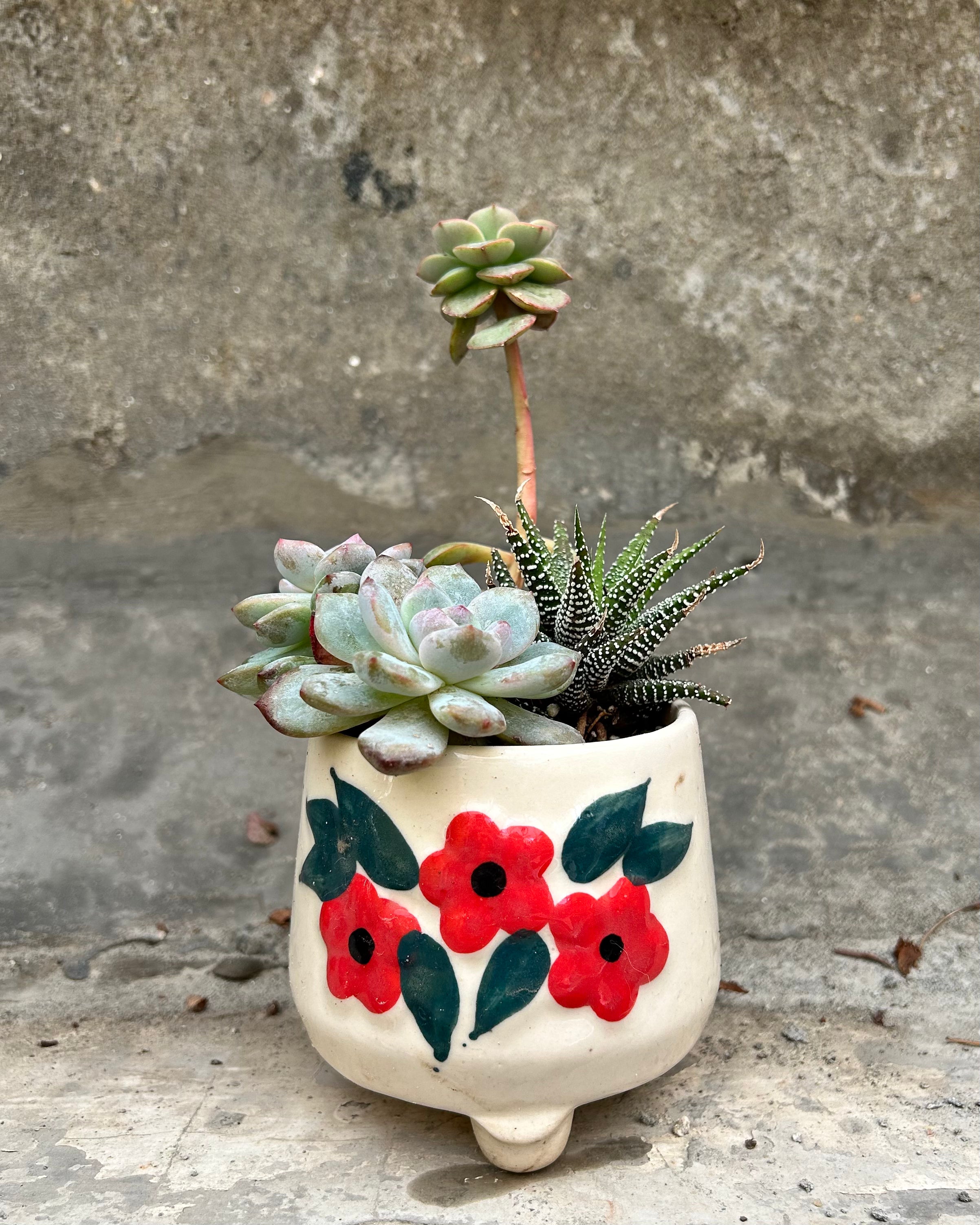 Succulent Floral Cup