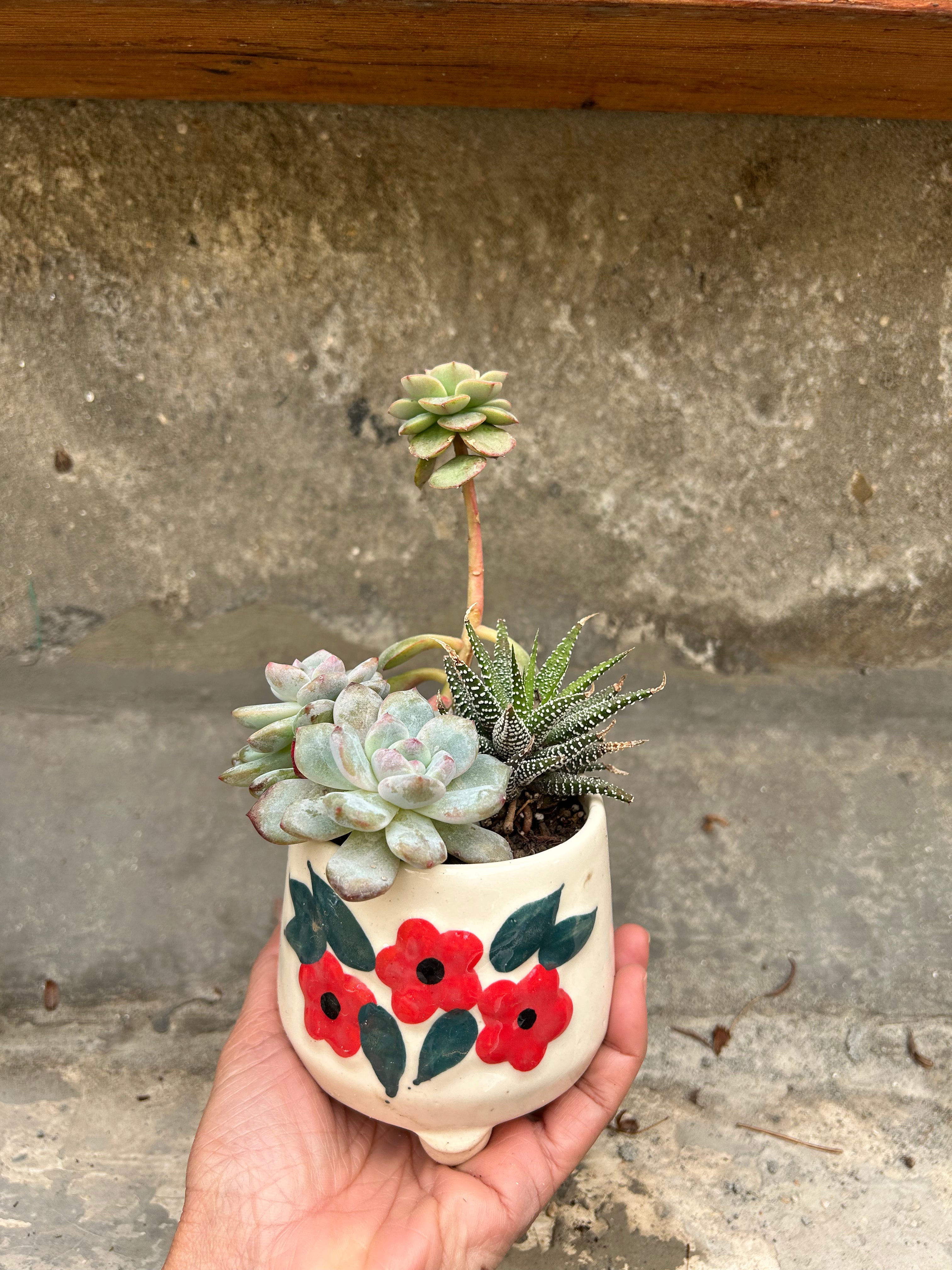 Succulent Floral Cup