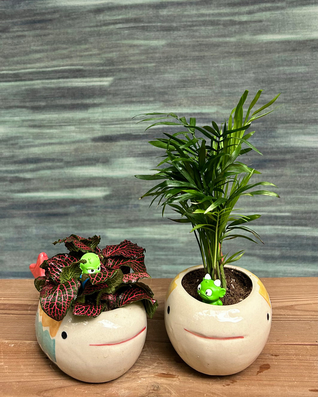 Fittonia Red and Dwarf Palm in Playful Fish - Set of 2