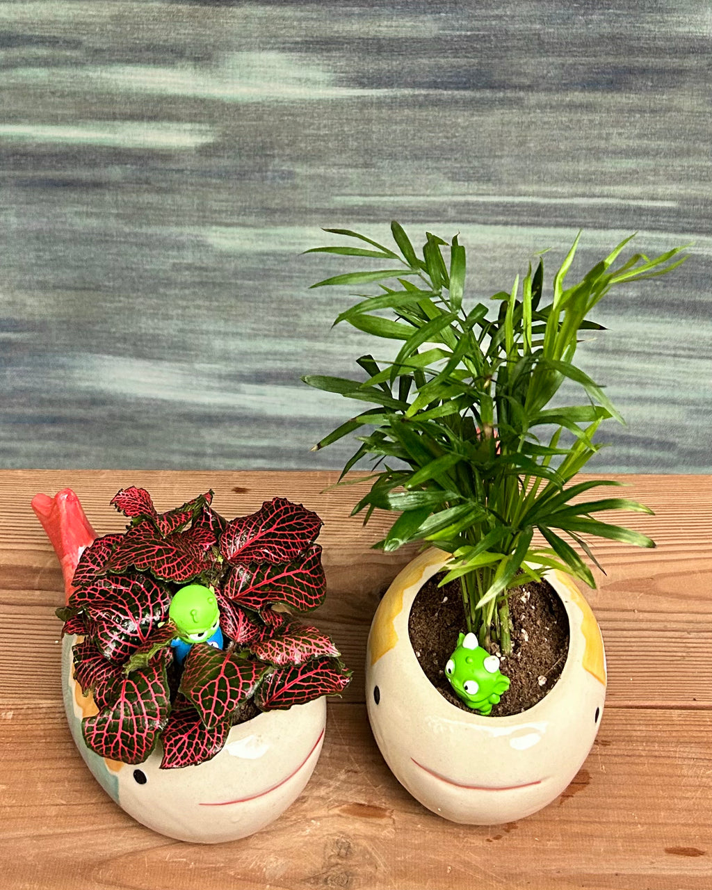 Fittonia Red and Dwarf Palm in Playful Fish - Set of 2