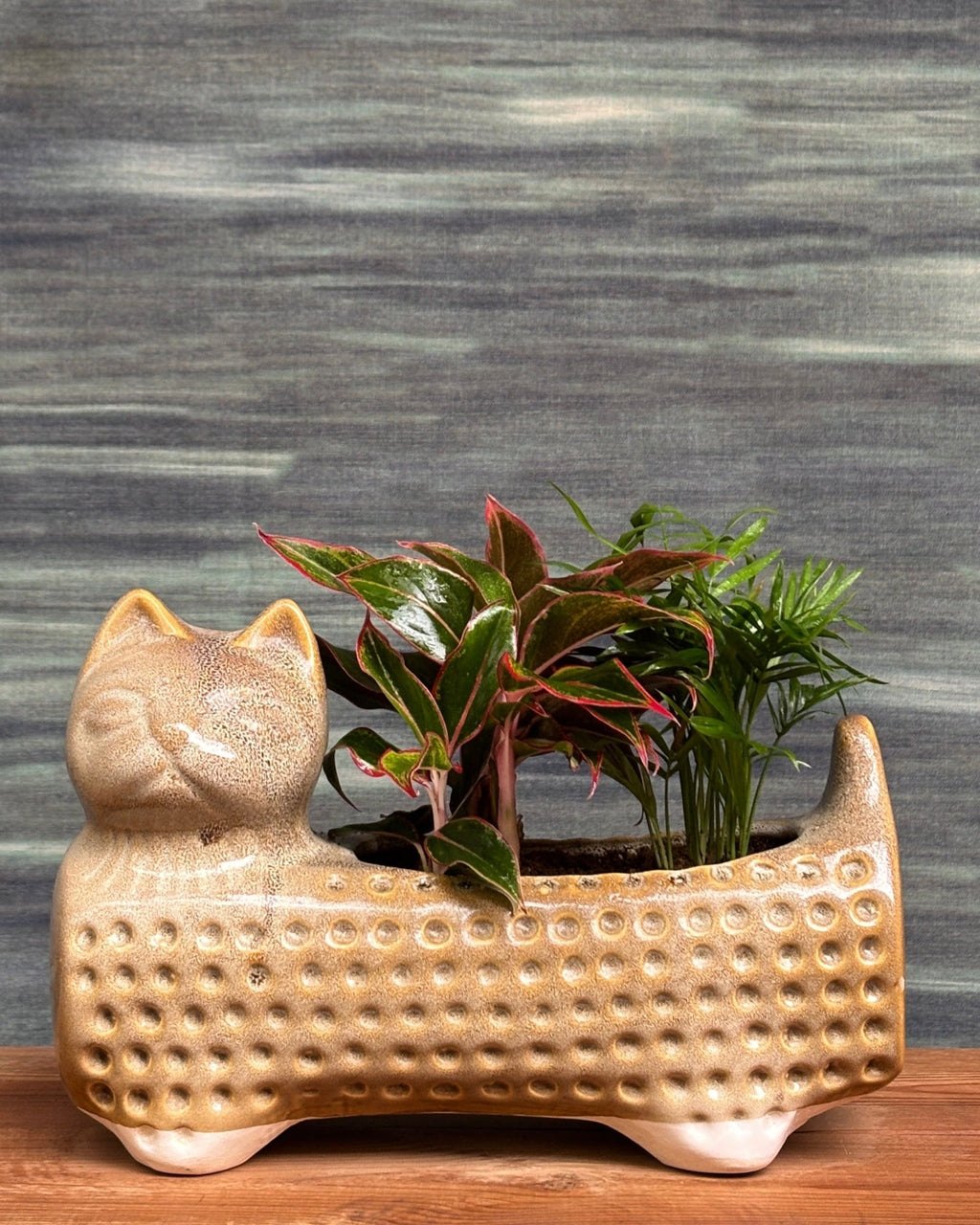 Egyptian Cat Arrangement