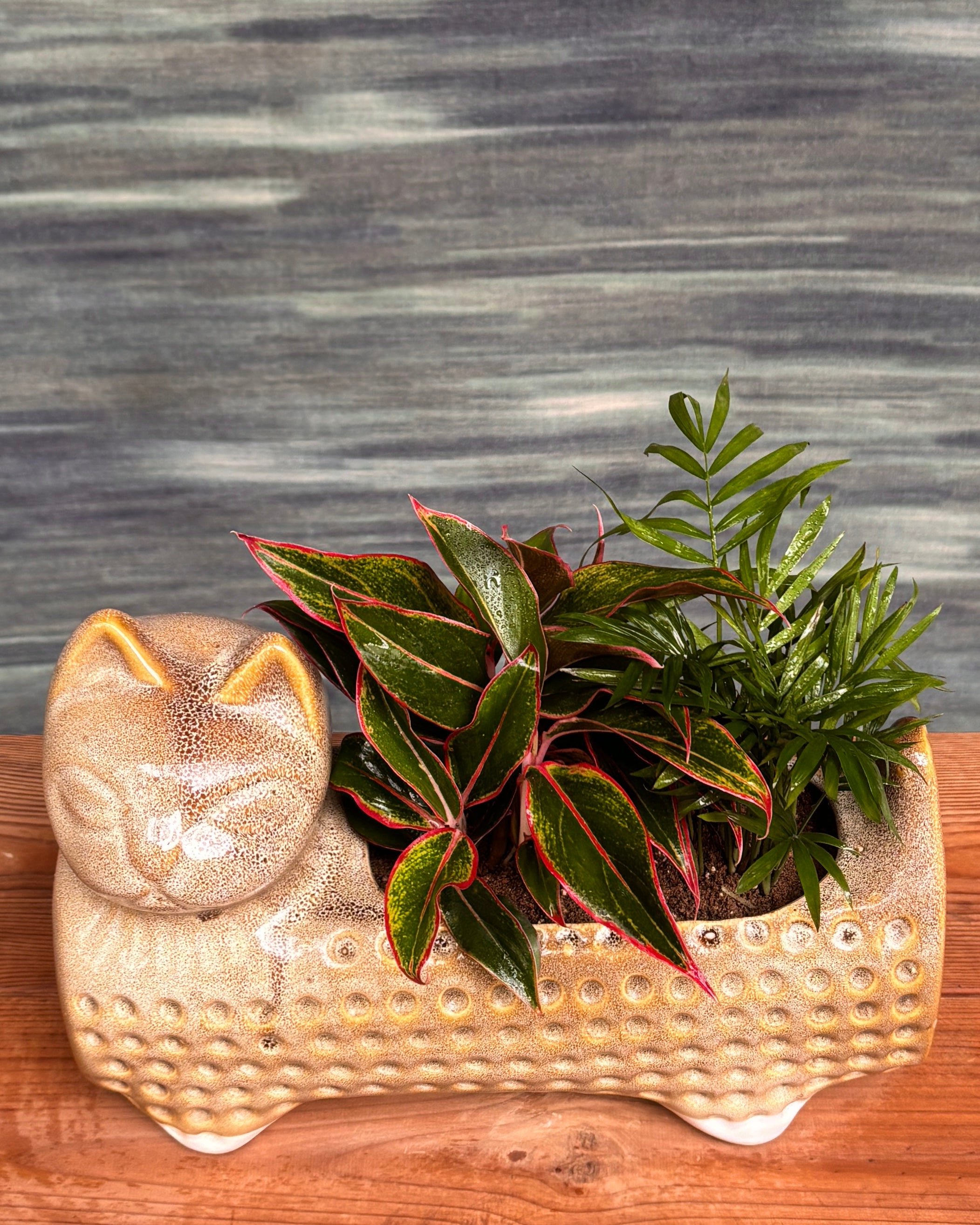 Egyptian Cat Arrangement