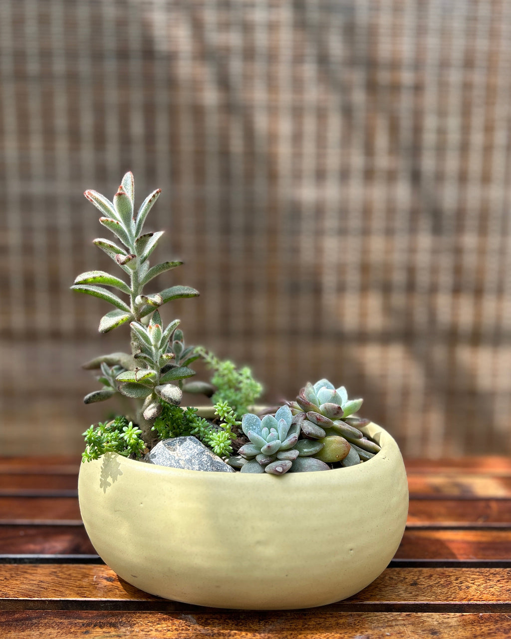Rustic Succulent Basket