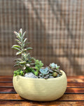 Rustic Succulent Basket