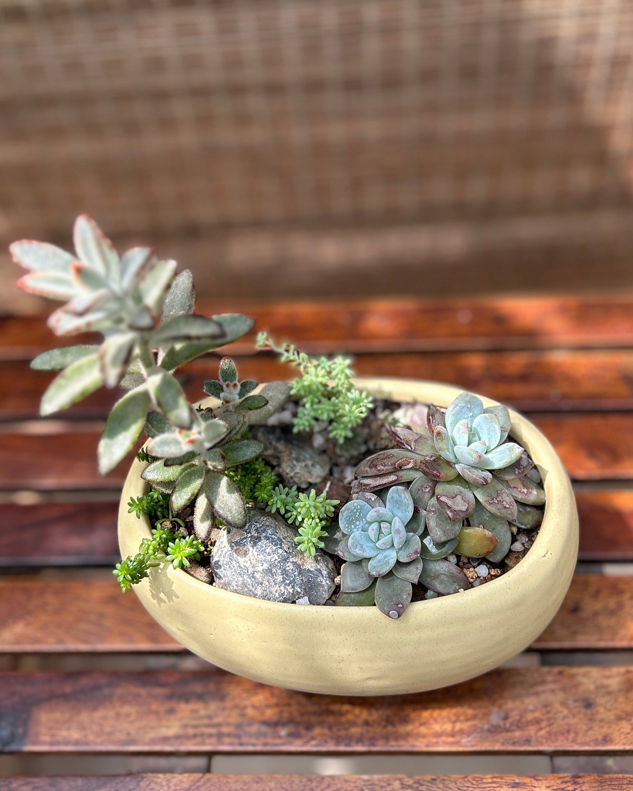 Rustic Succulent Basket